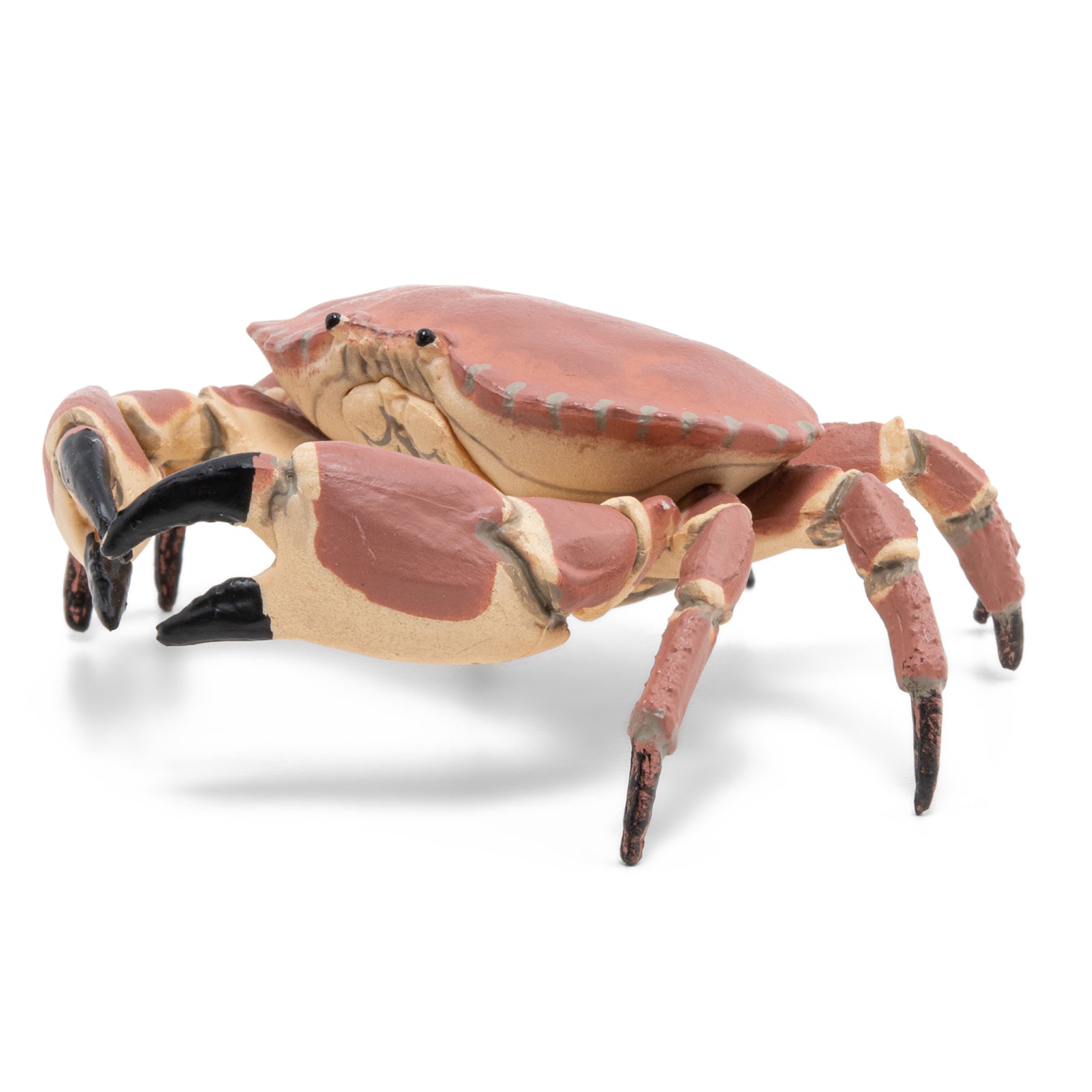 papo-marine-world-krabbenfigur-mit-scheren image 6