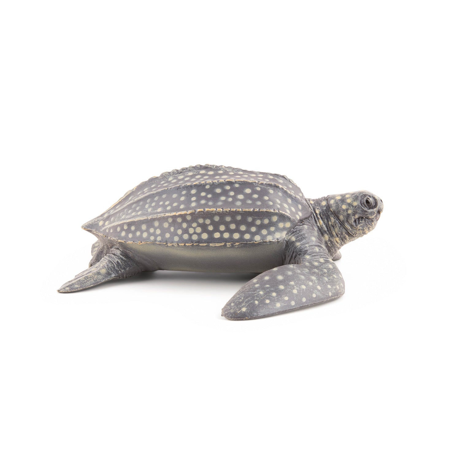 papo-marine-world-lederschildkr-tenfigur-meeresschildkr-te image 2