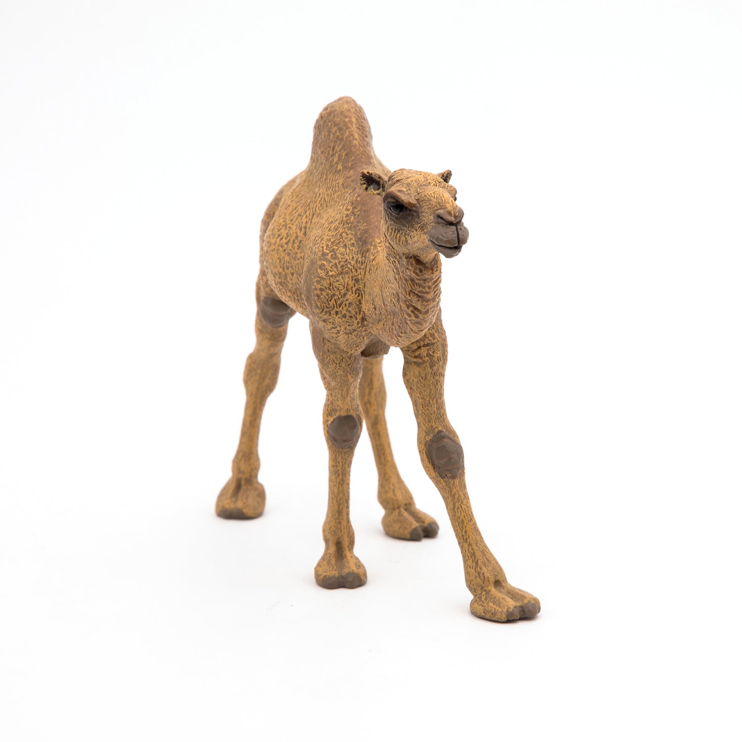 papo-wildlife-dromedar-tierfigur-w-stentier image 5