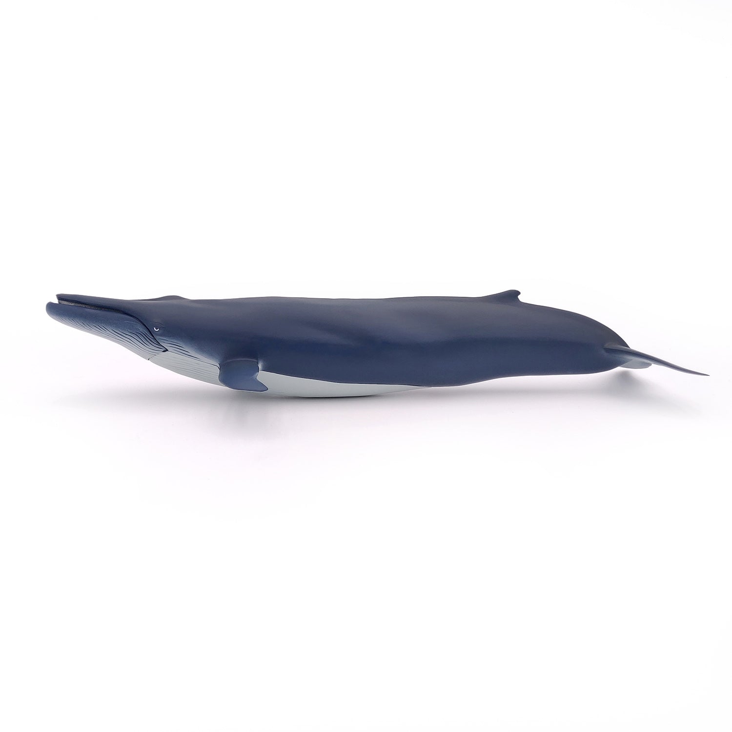 papo-marine-world-blauwal-figur-meerestier image 4