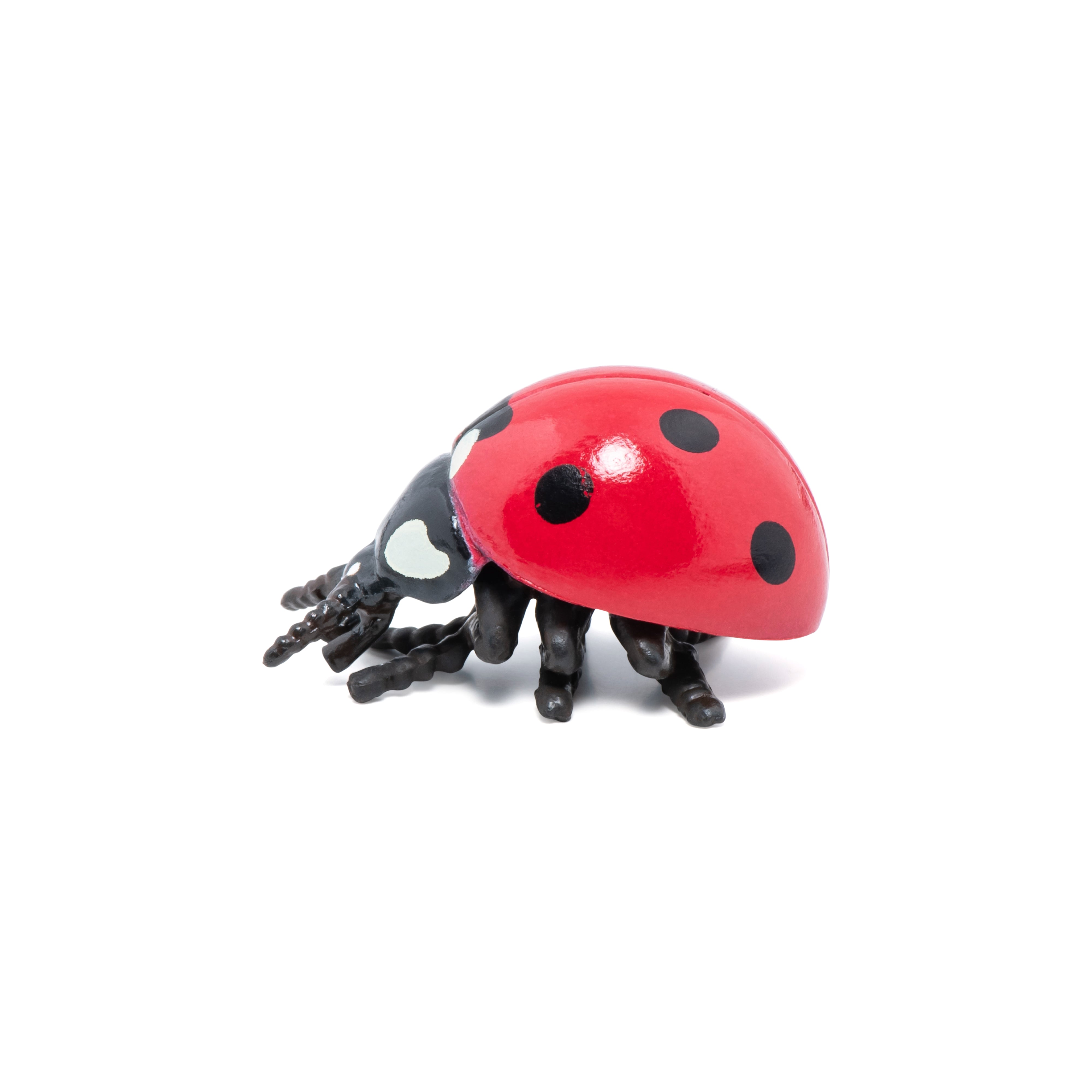 papo-garden-animals-marienk-fer-figur-insekt-rot-mit-punkten image 5
