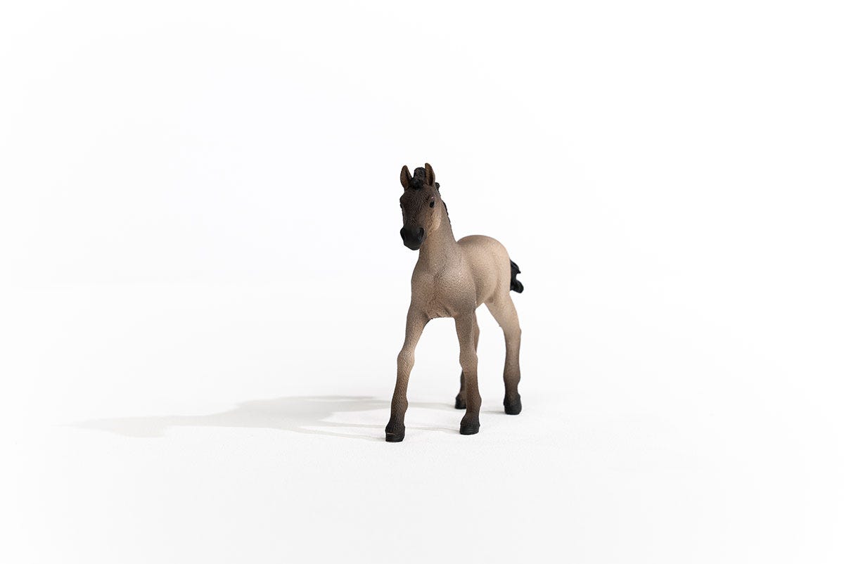 schleich-horse-club-criollo-definitivo-fohlen-pferdefigur-13949 image 4