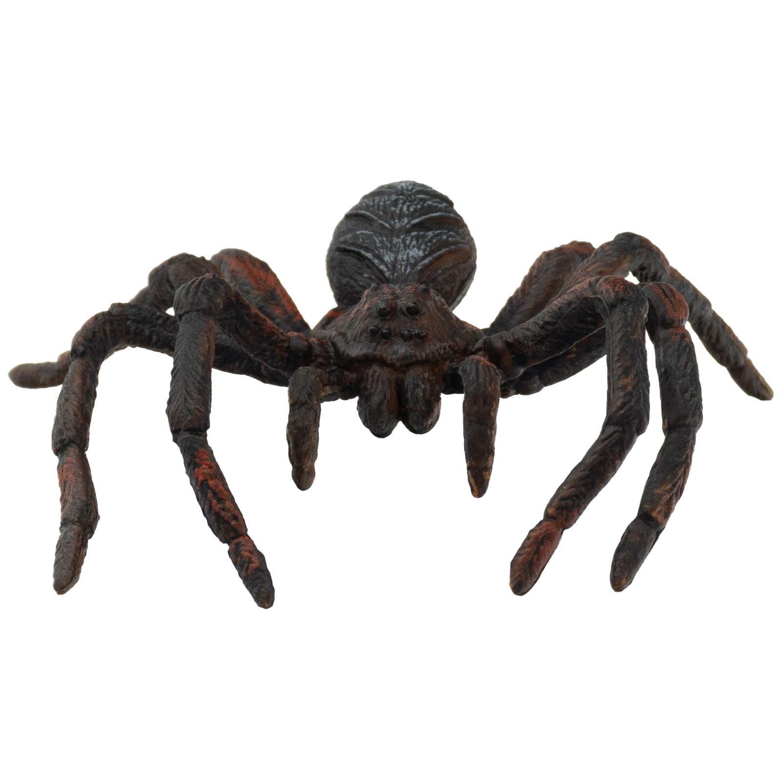bullyland-crawlers-68430-wolfsspinne-spielfigur-13-cm image 3