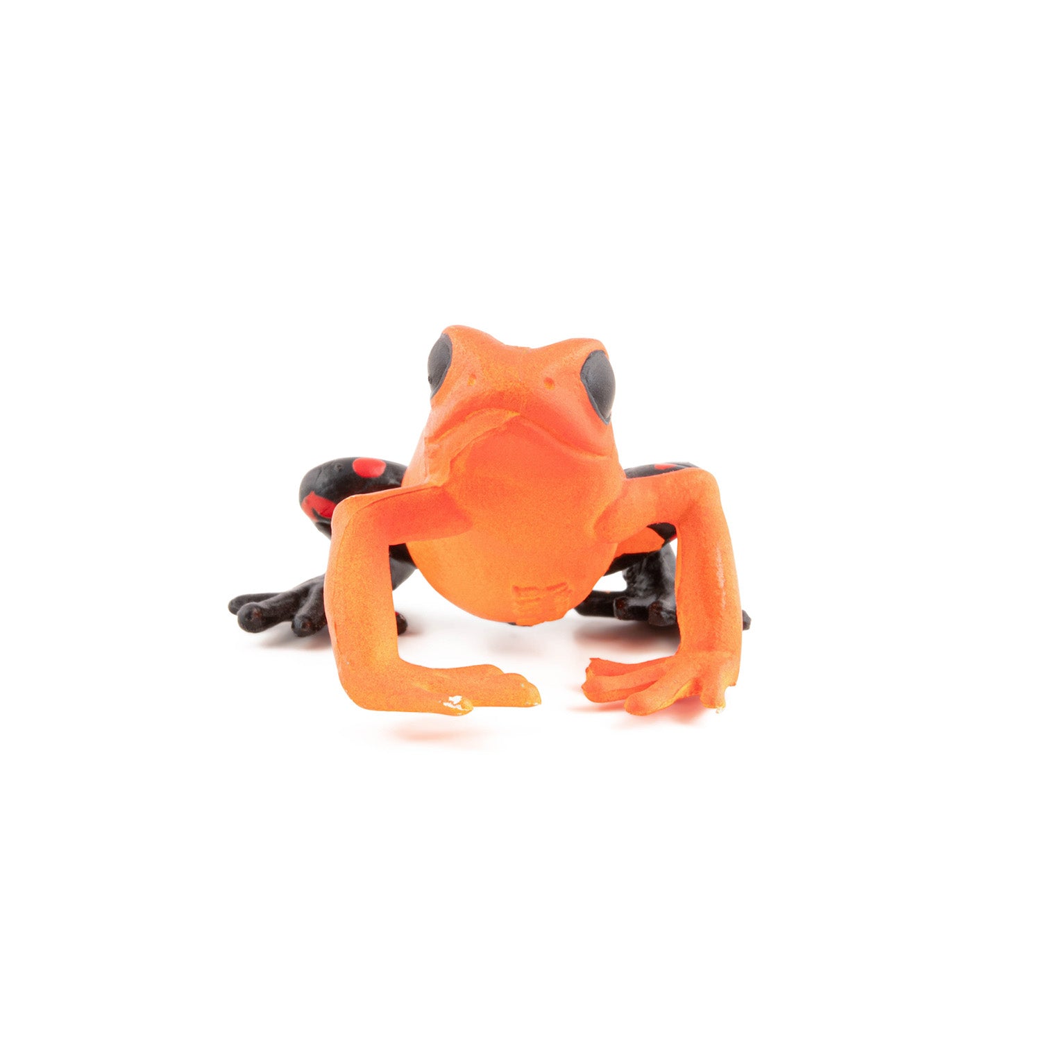 papo-wildlife-roter-quatorialfrosch-amphibienfigur image 3
