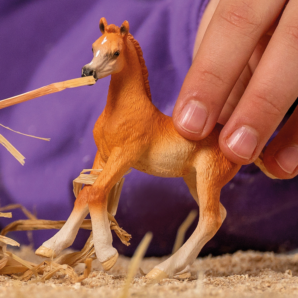 schleich-horse-club-araber-fohlen-pferdefigur-13984 image 2