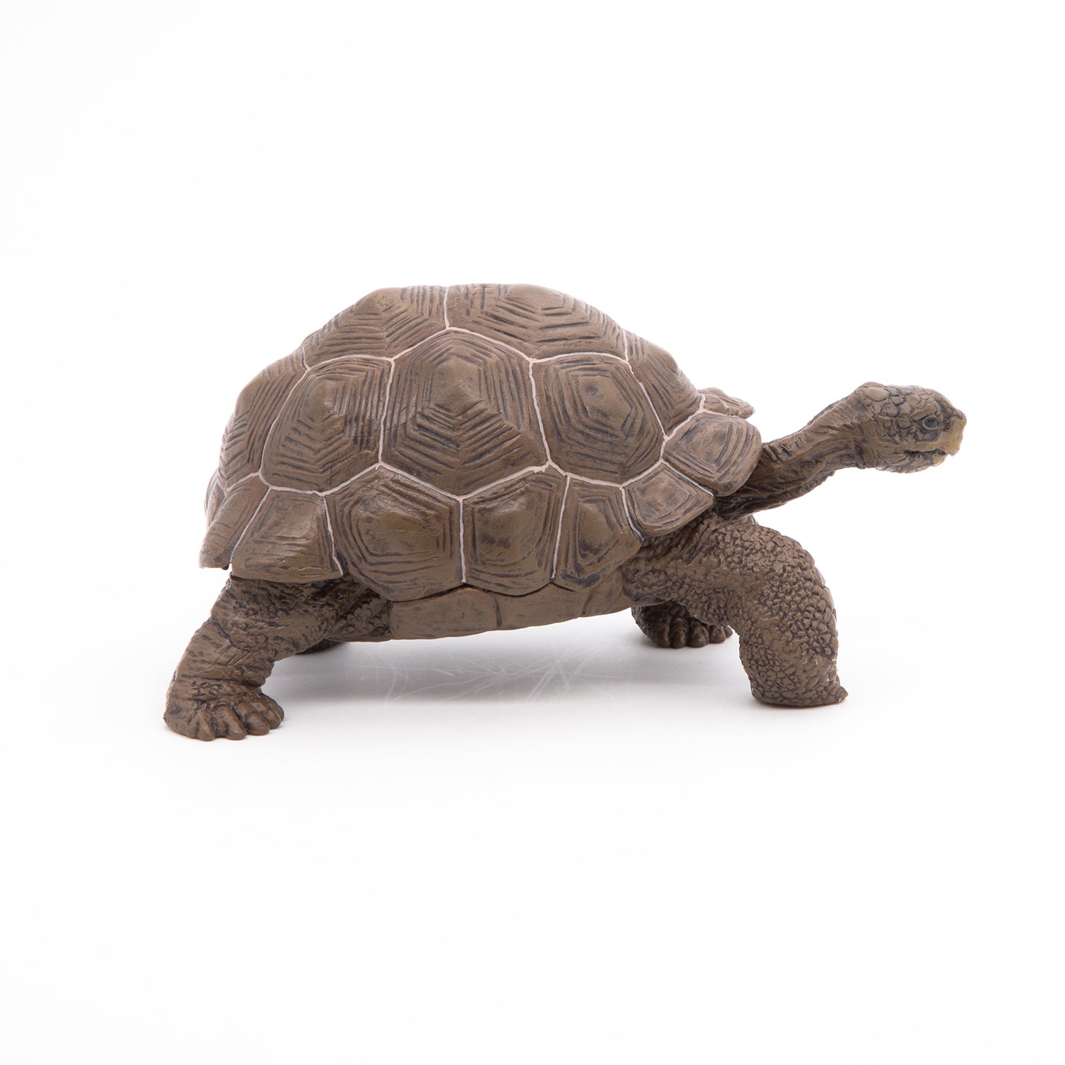 papo-wildlife-galapagos-schildkr-te-reptil-figur image 4