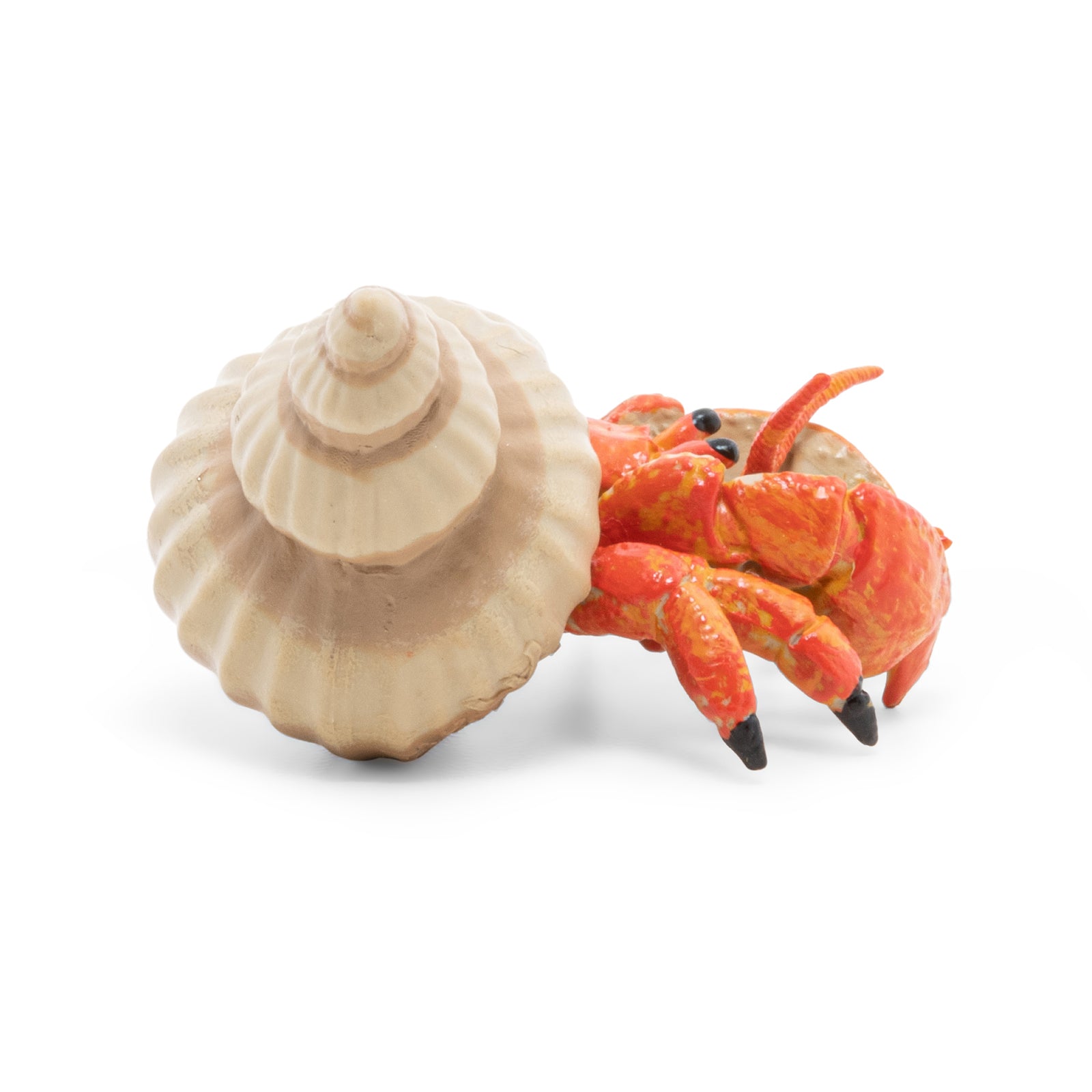 papo-marine-world-einsiedlerkrebs-figur-meerestier image 4