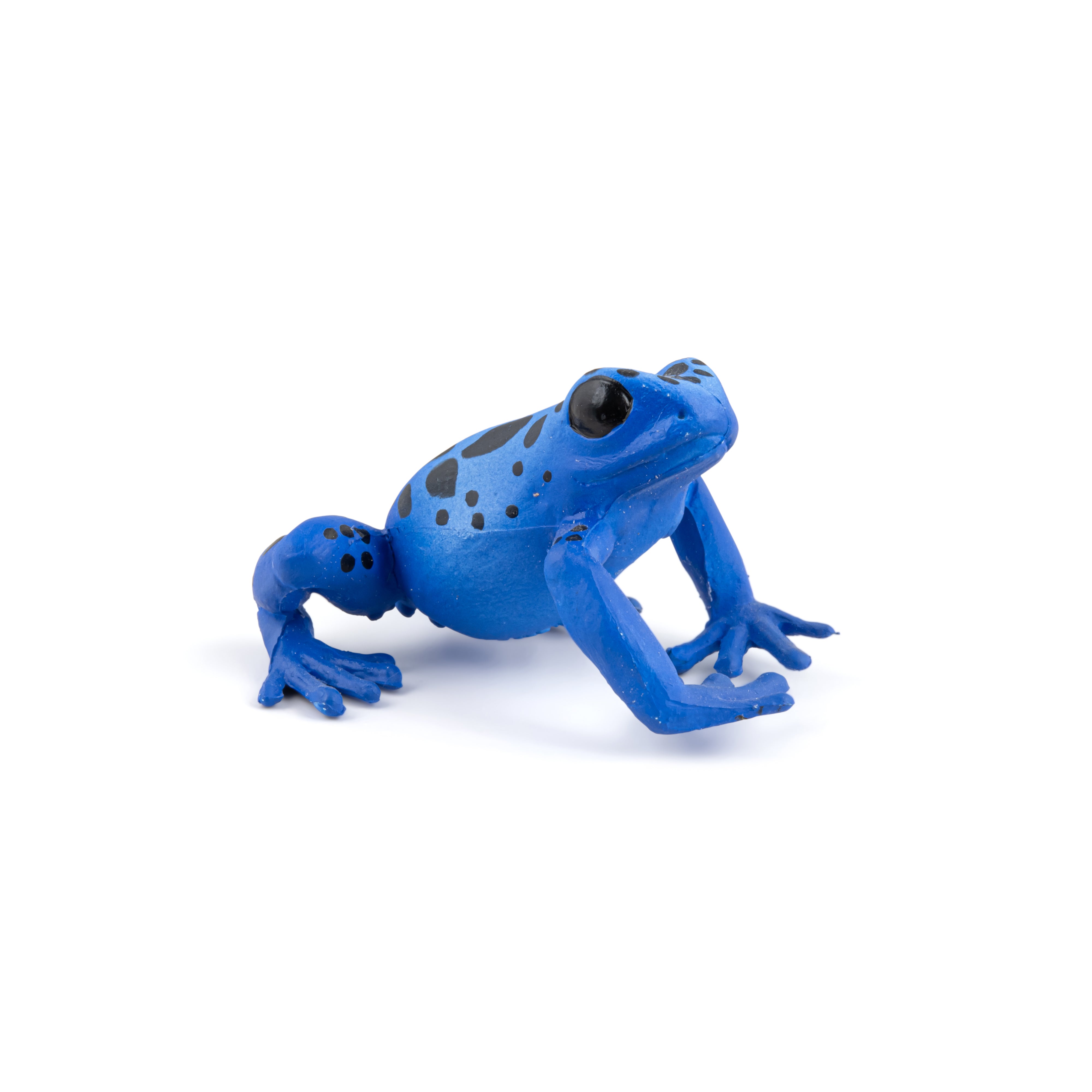 papo-wildlife-blauer-quatorialfrosch-figur-regenwald image 4