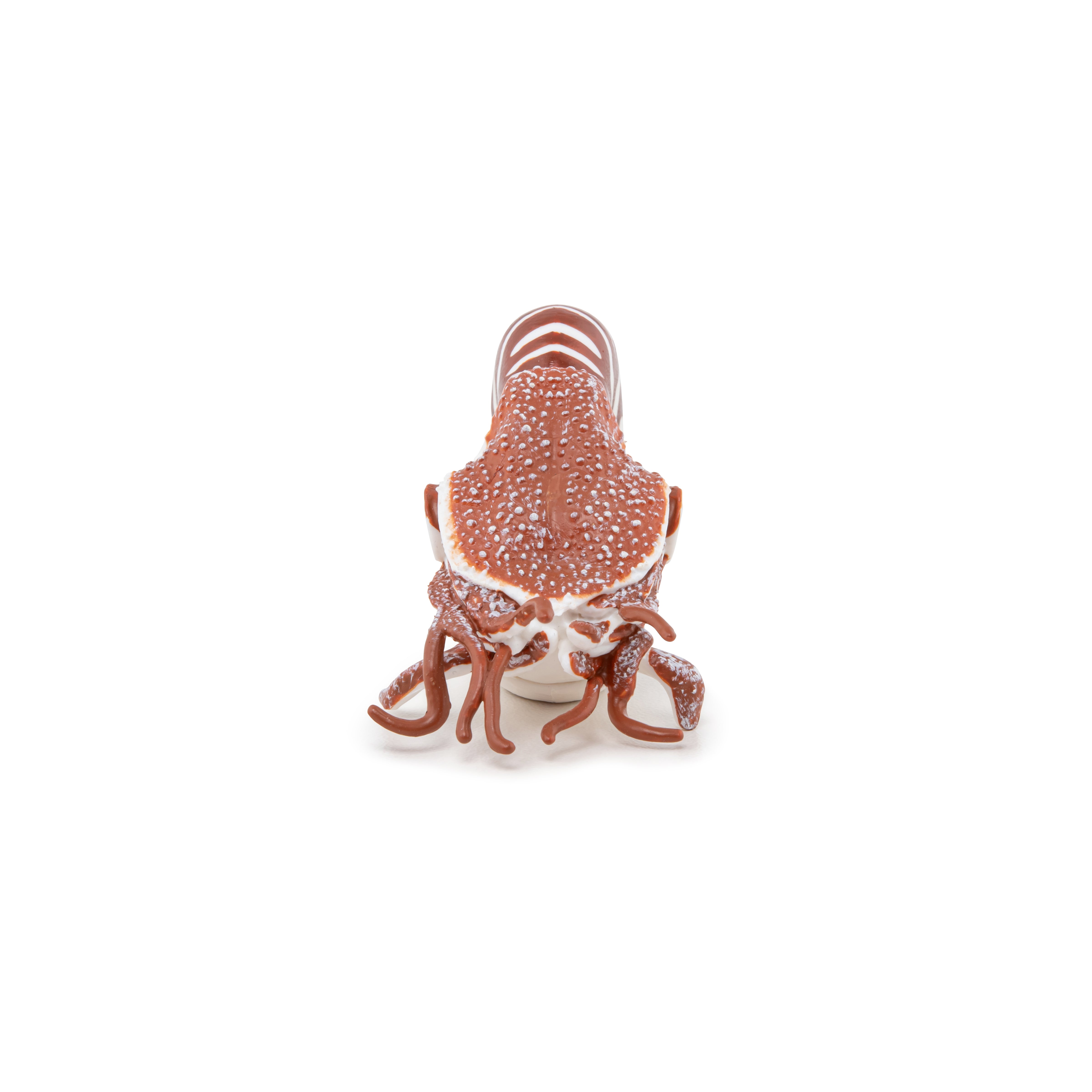 papo-marine-world-nautilus-meerestier-figur-spiralgeh-use image 3