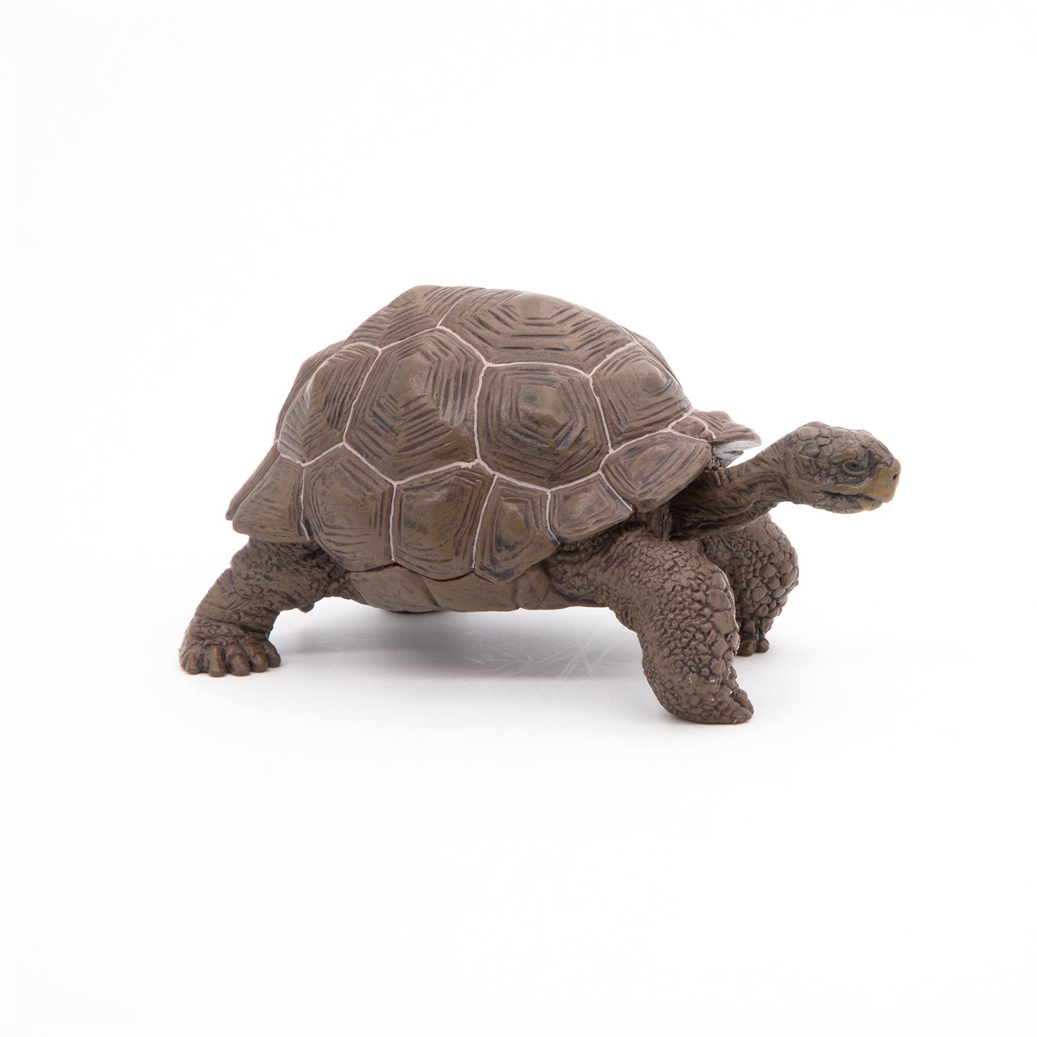 papo-wildlife-galapagos-schildkr-te-reptil-figur image 5