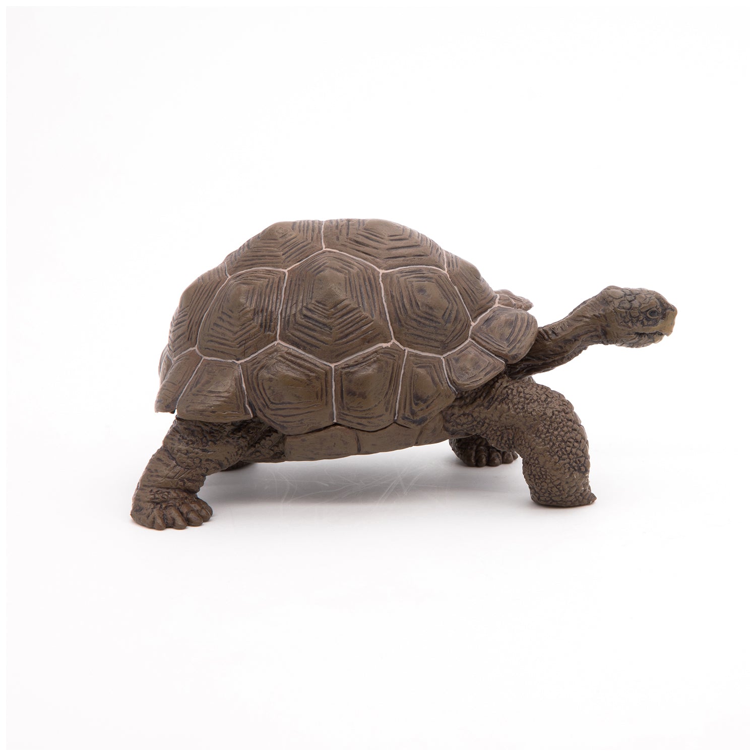 papo-wildlife-galapagos-schildkr-te-reptil-figur image 3