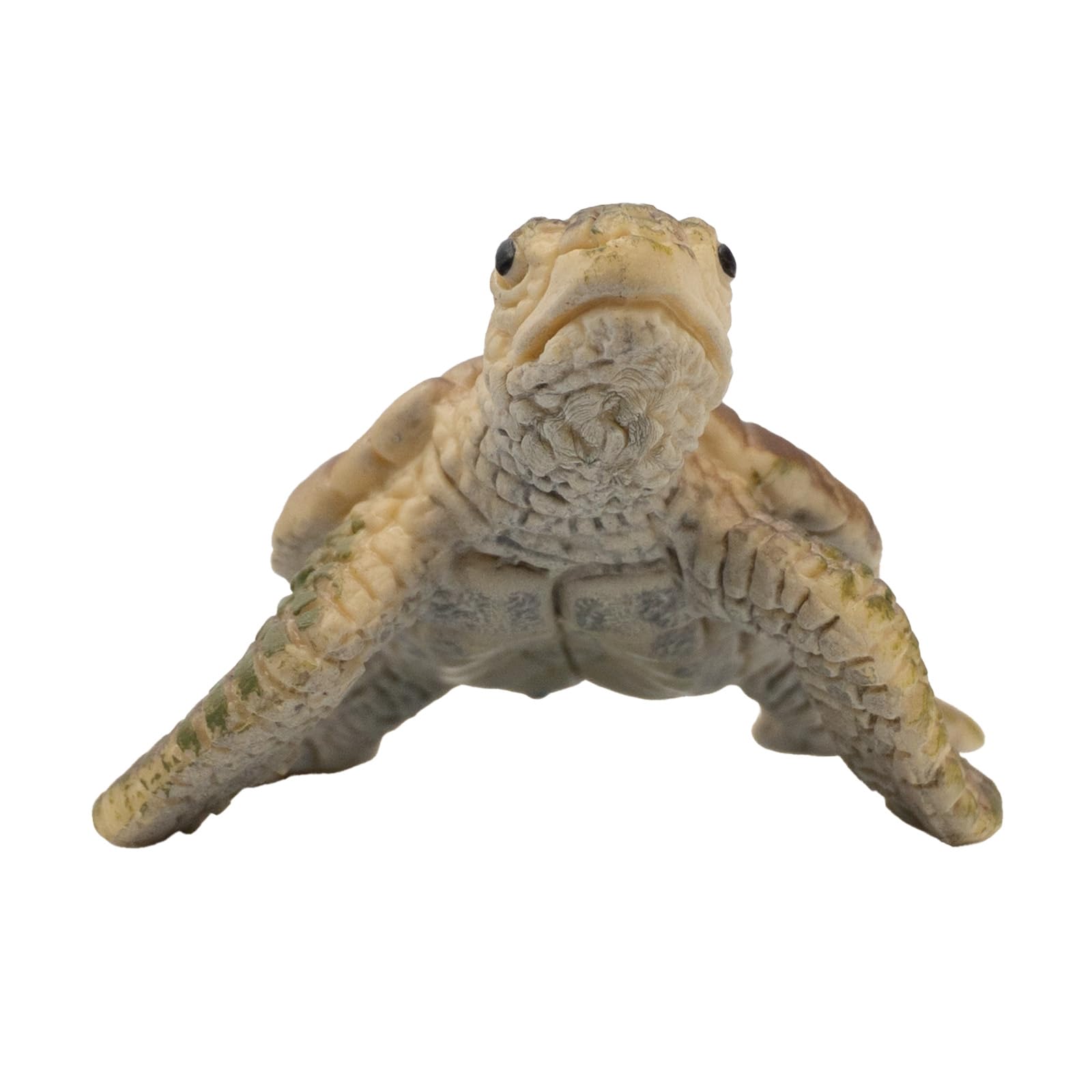 bullyland-marine-world-meeresschildkr-ten-junges-tierfigur-6-cm image 3
