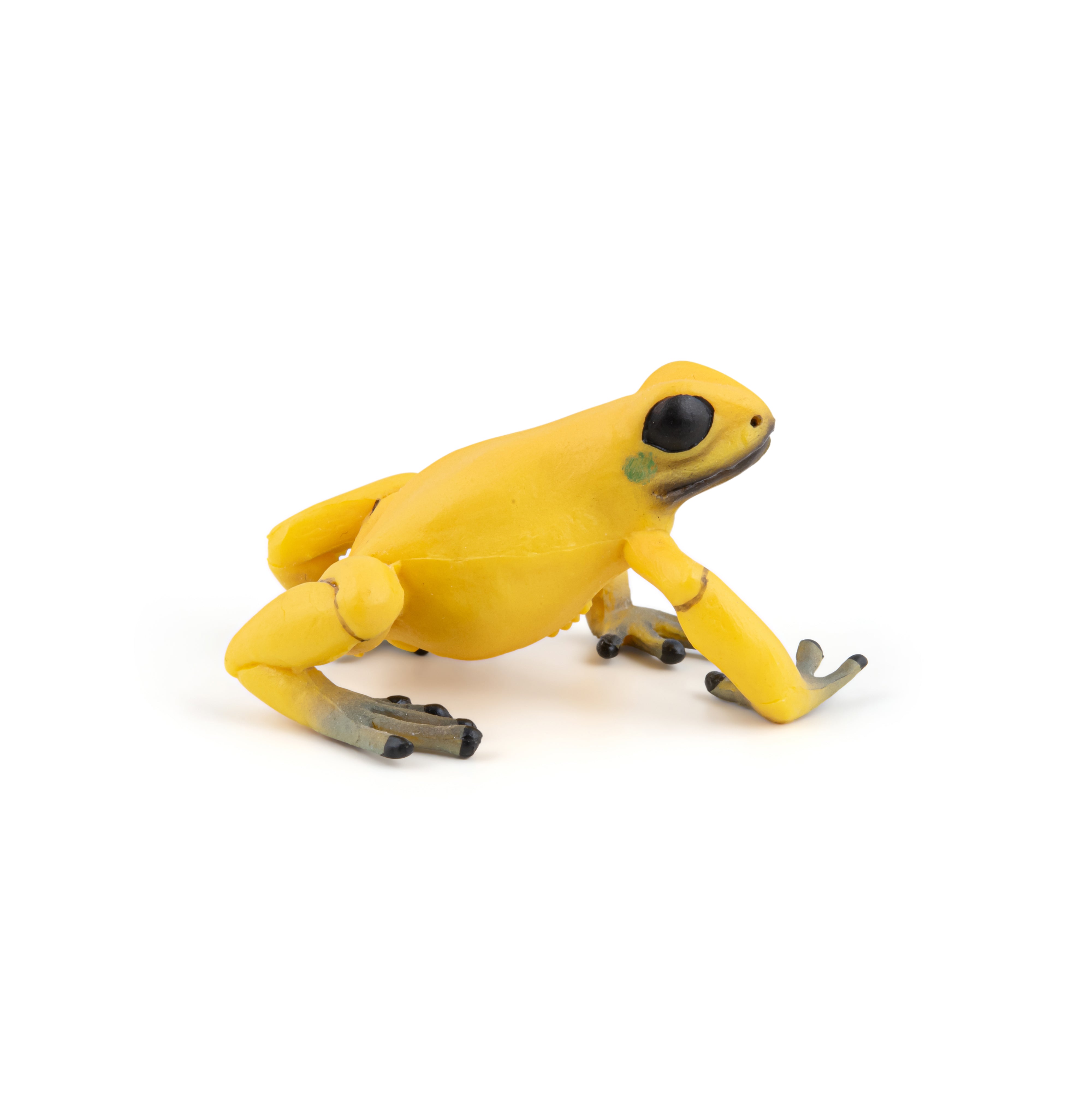 papo-wildlife-gelber-quatorialfrosch-figur-giftig-gelb image 4