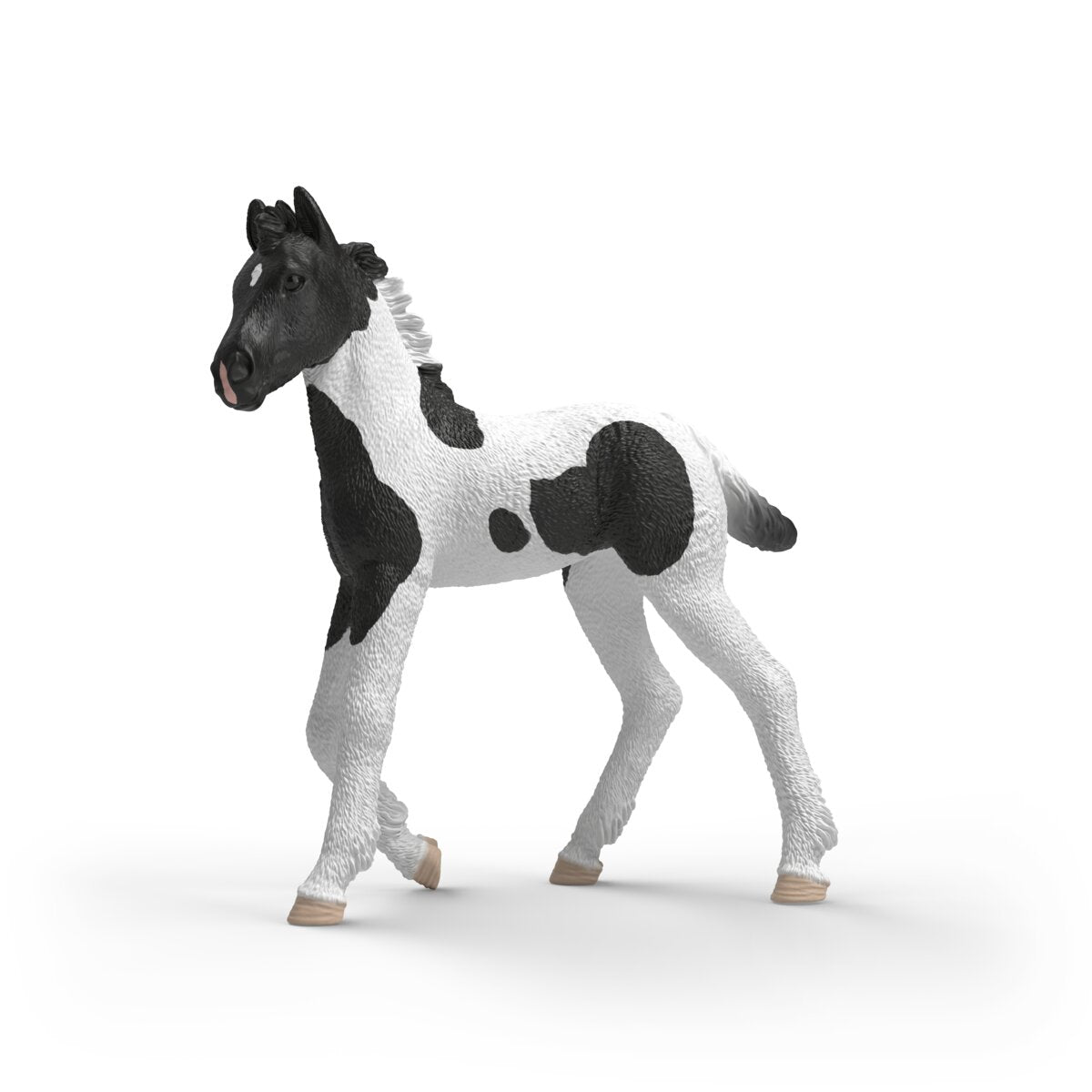 schleich-horse-club-sammelfohlen-rocky-81481-pferd-mit-poster image 1
