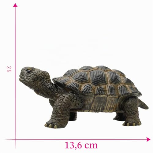 bullyland-crawlers-63553-landschildkr-te-tierfigur-13-6-cm image 6