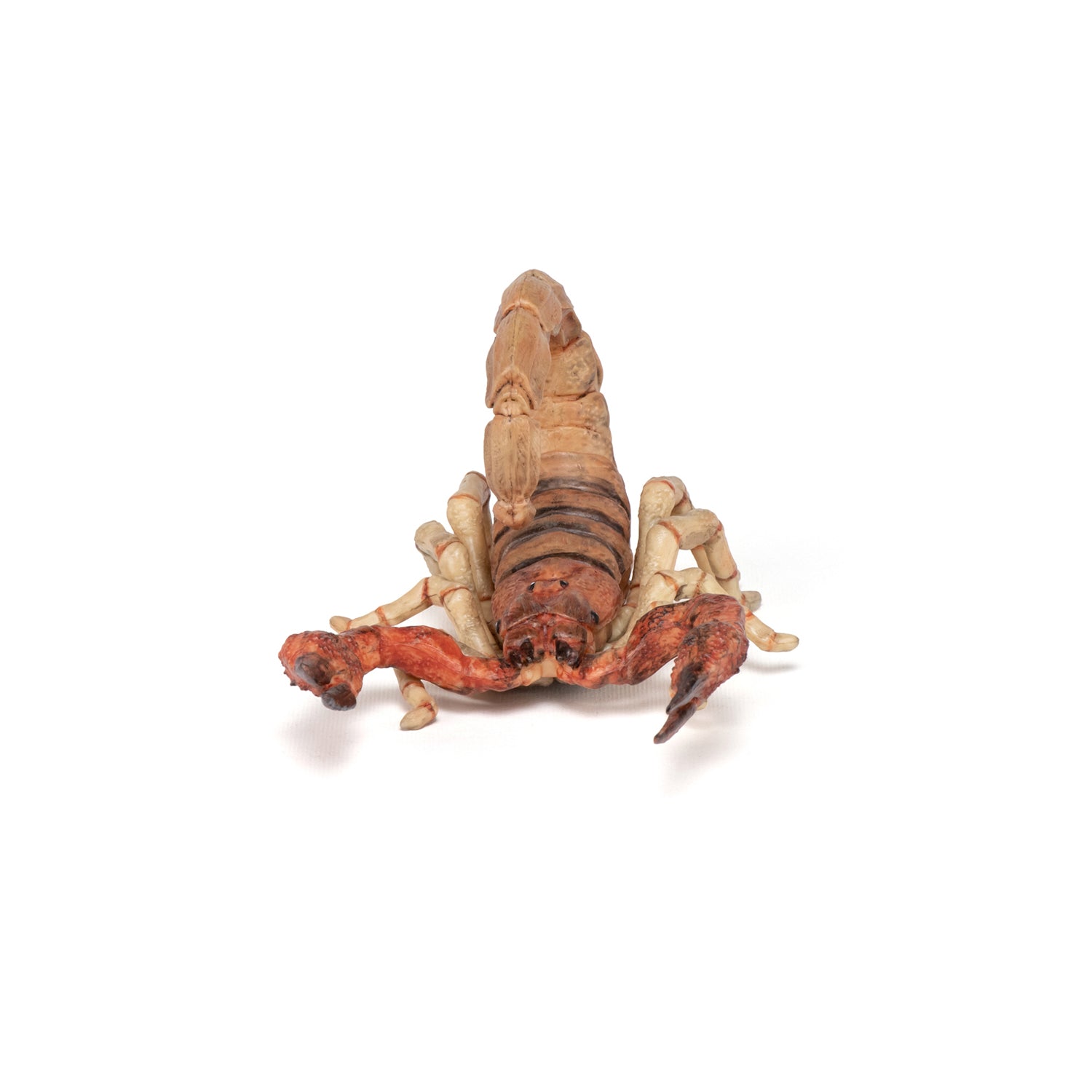 papo-wildlife-skorpion-figur-w-stentier image 7