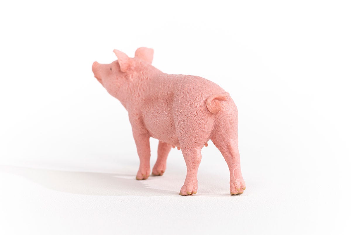 schleich-farm-world-schwein-13933-bauernhoftier-figur-rosa image 4