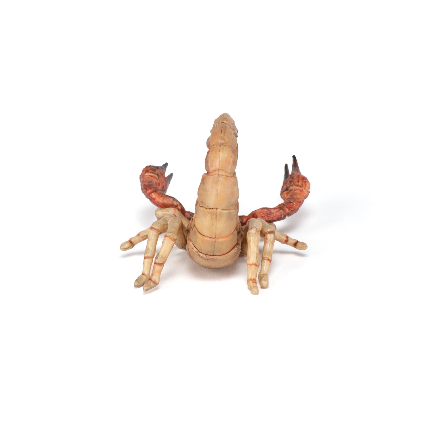 papo-wildlife-skorpion-figur-w-stentier image 5