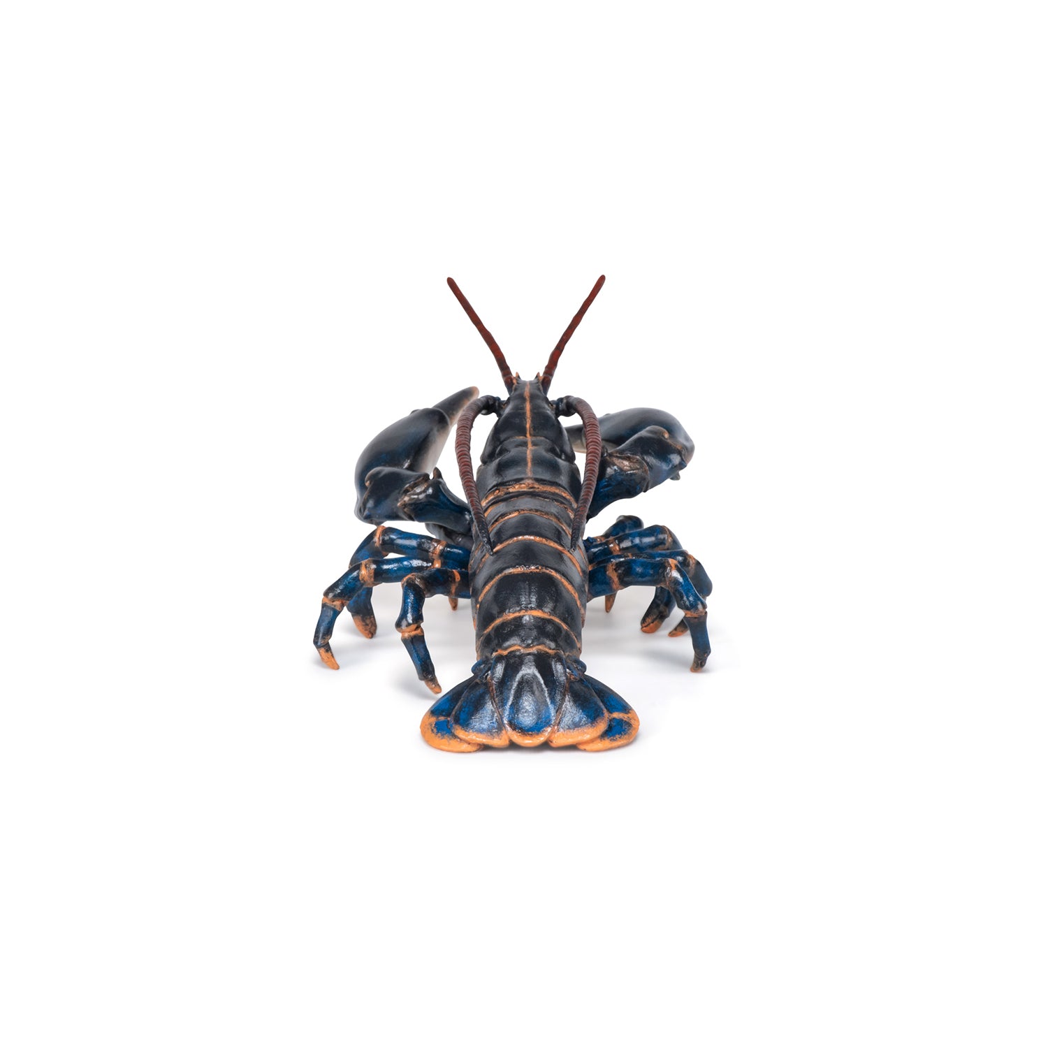 papo-marine-world-hummer-meerestierfigur image 2