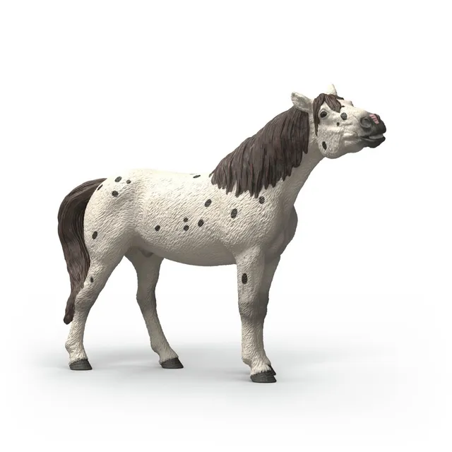 schleich-horse-club-knabstrupper-wallach-pferdefigur-14916 image 1