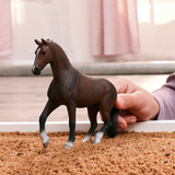 schleich-horse-club-kwpn-wallach-spielfigur-dressur image 2