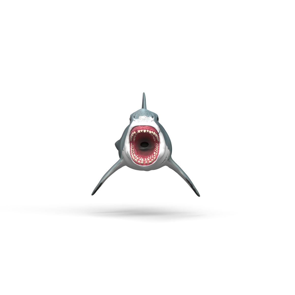 schleich-dinosaurs-megalodon-spielfigur-15055-urzeit-hai image 4