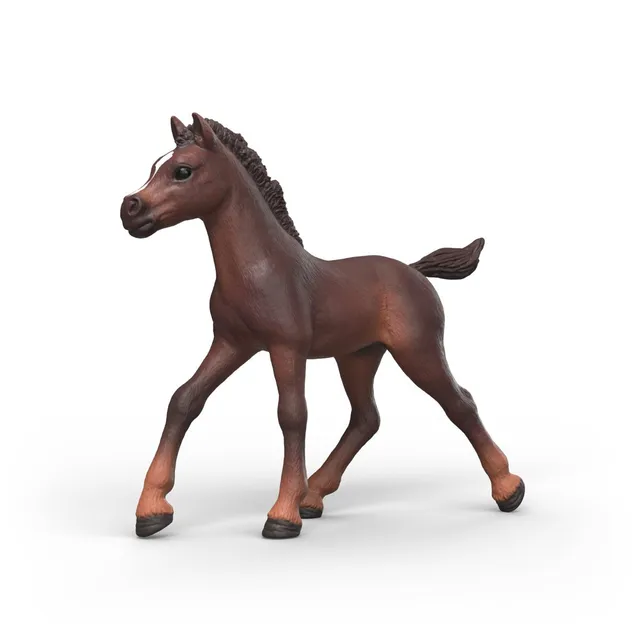schleich-horse-club-sammelfohlen-ravi-spielfigur-fohlen-mit-poster image 1