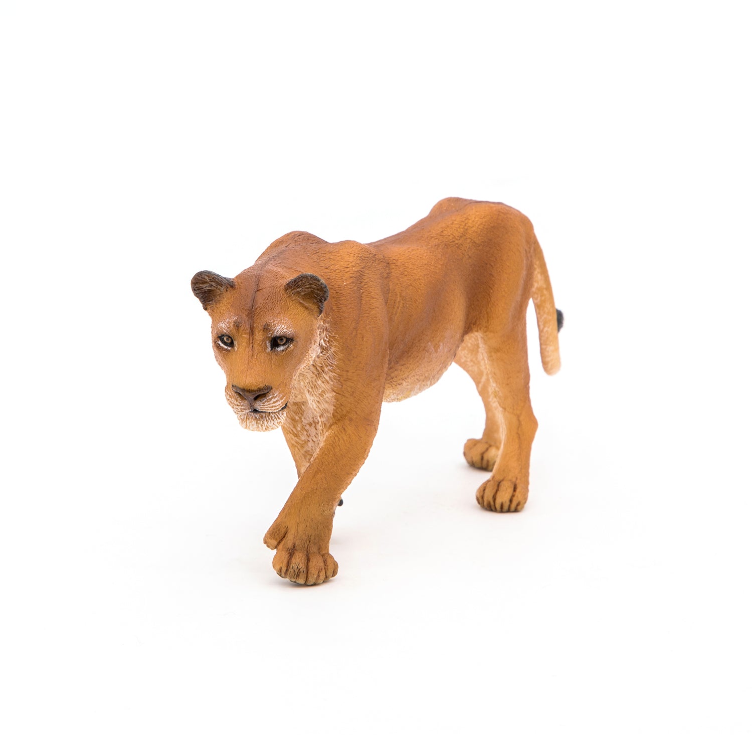 papo-wildlife-l-win-figur-savanne-raubtier image 1
