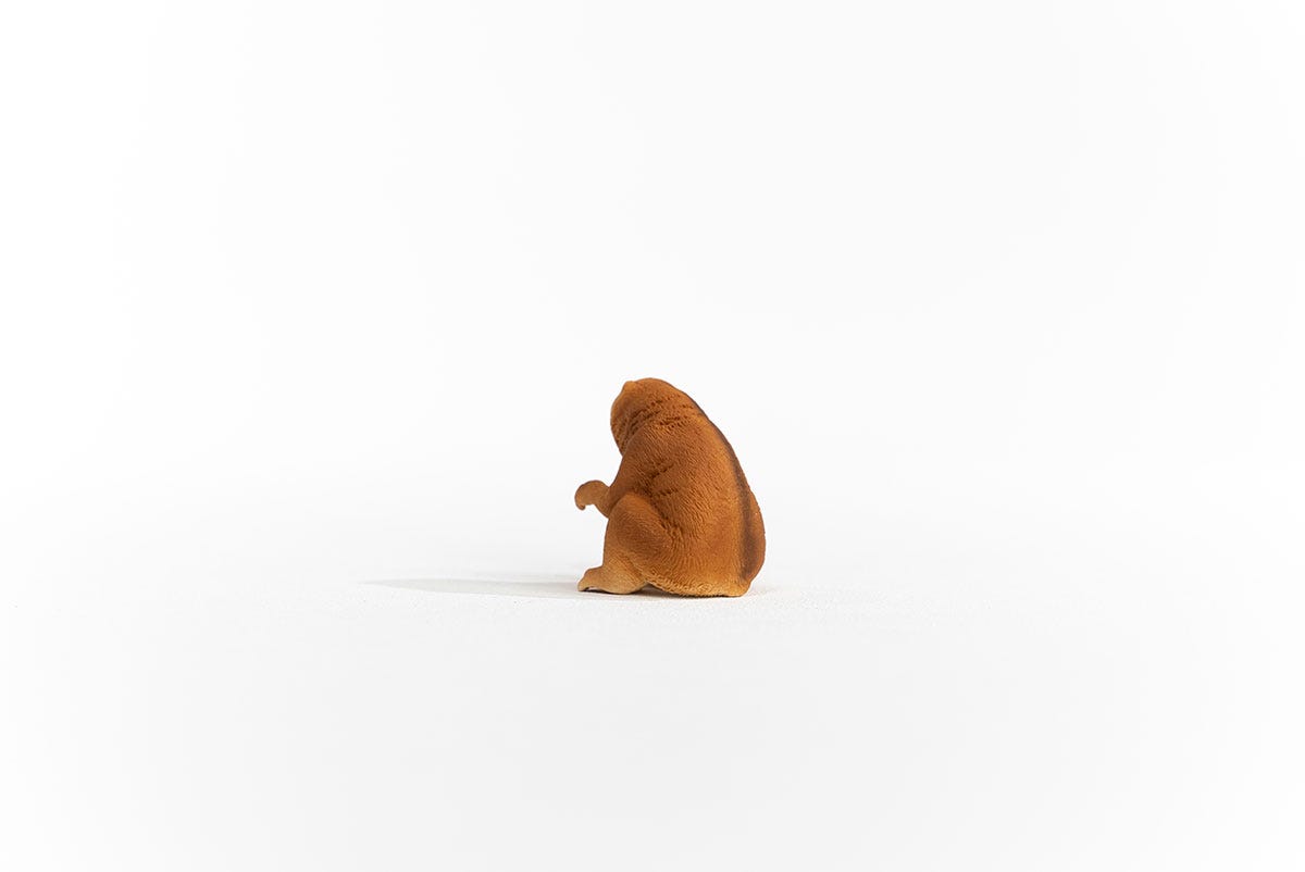 schleich-wild-life-plumplori-14852-tierfigur-nachttier image 4