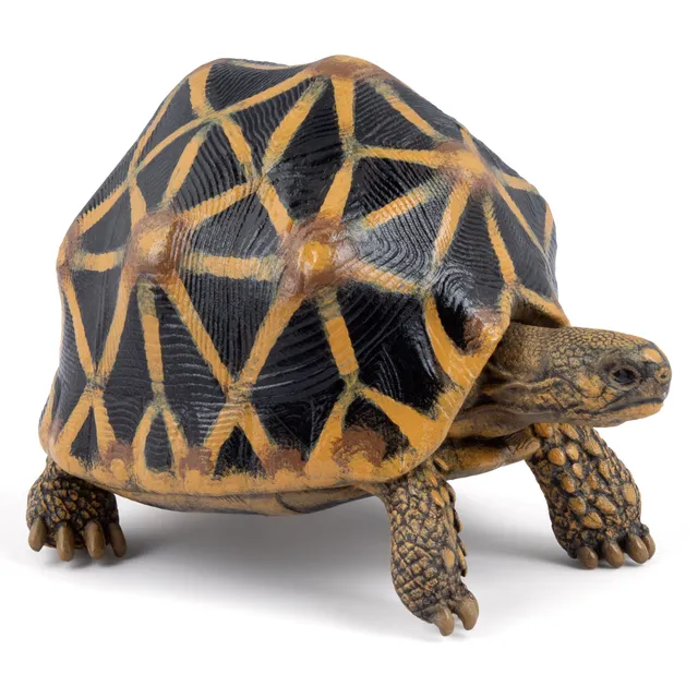 papo-wildlife-strahlenschildkr-te-tierfigur-sternpanzer image 1