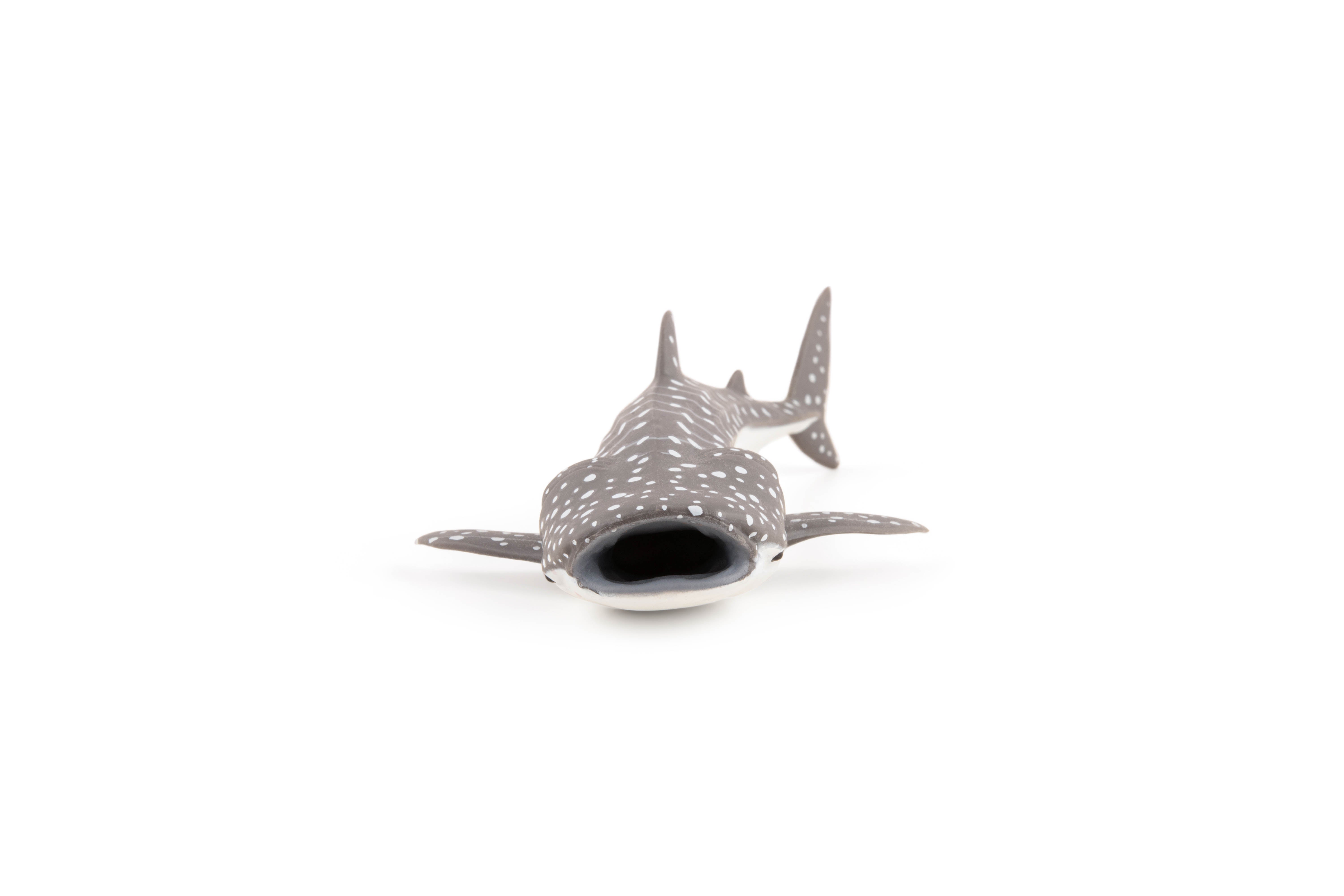papo-marine-junger-walhai-hai-figur image 4