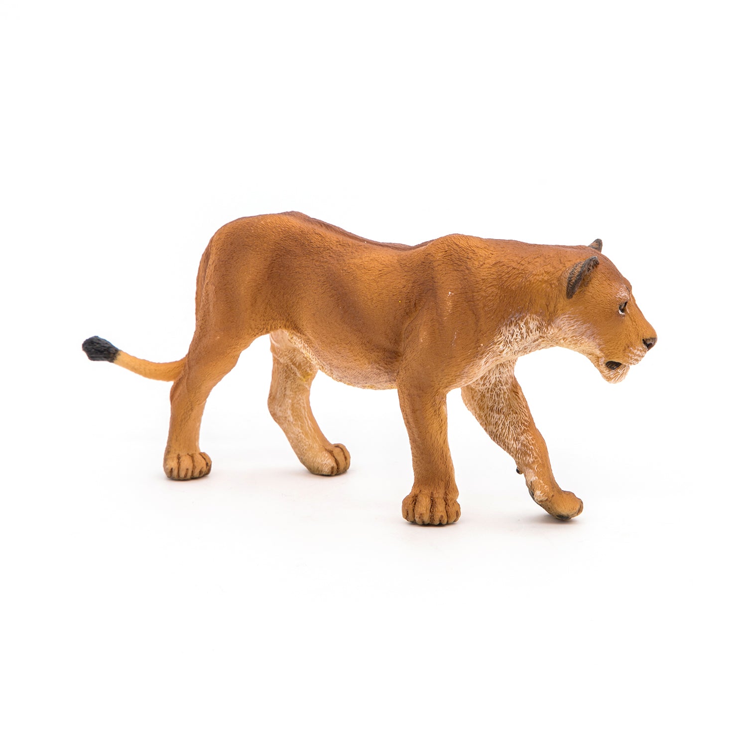 papo-wildlife-l-win-figur-savanne-raubtier image 5