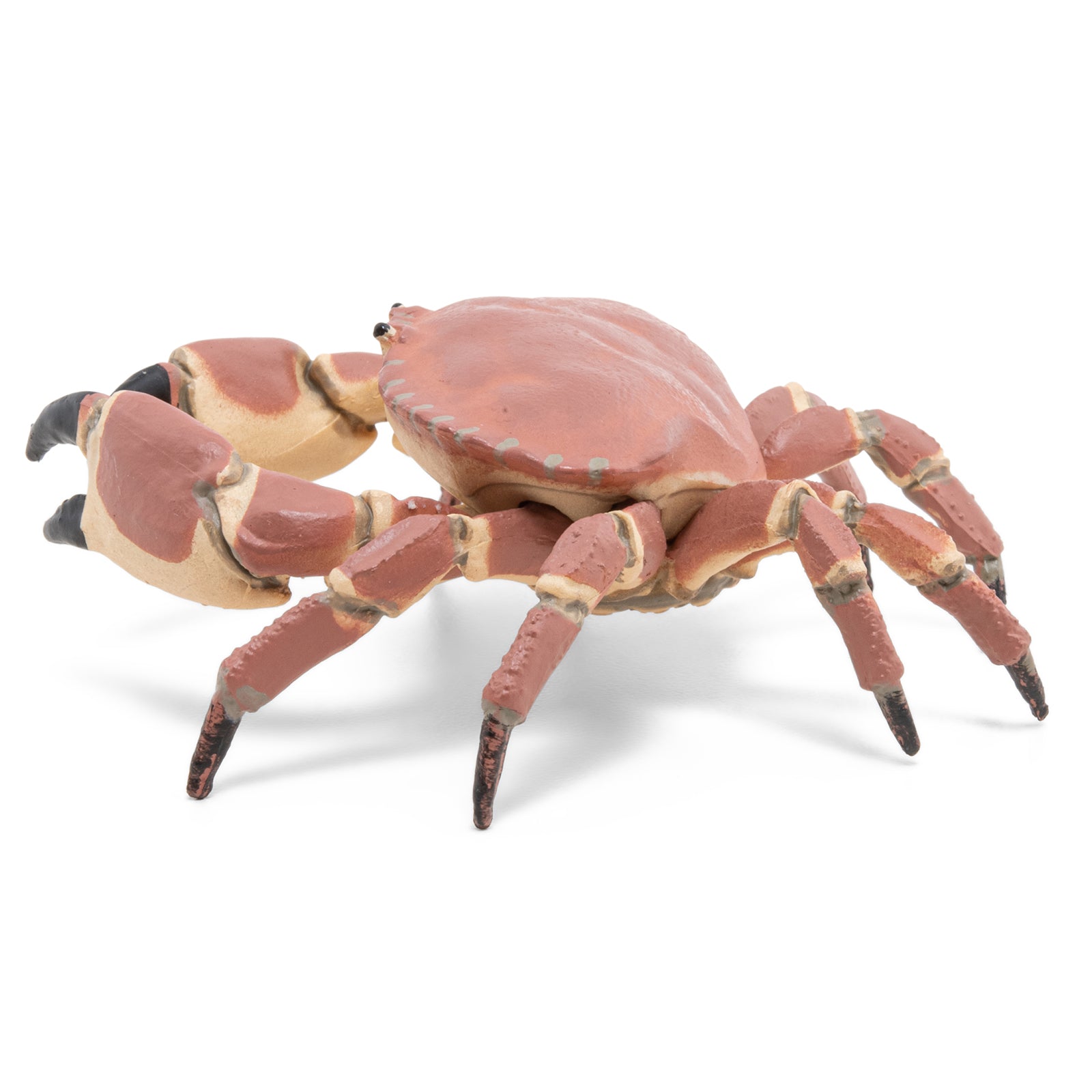papo-marine-world-krabbenfigur-mit-scheren image 3