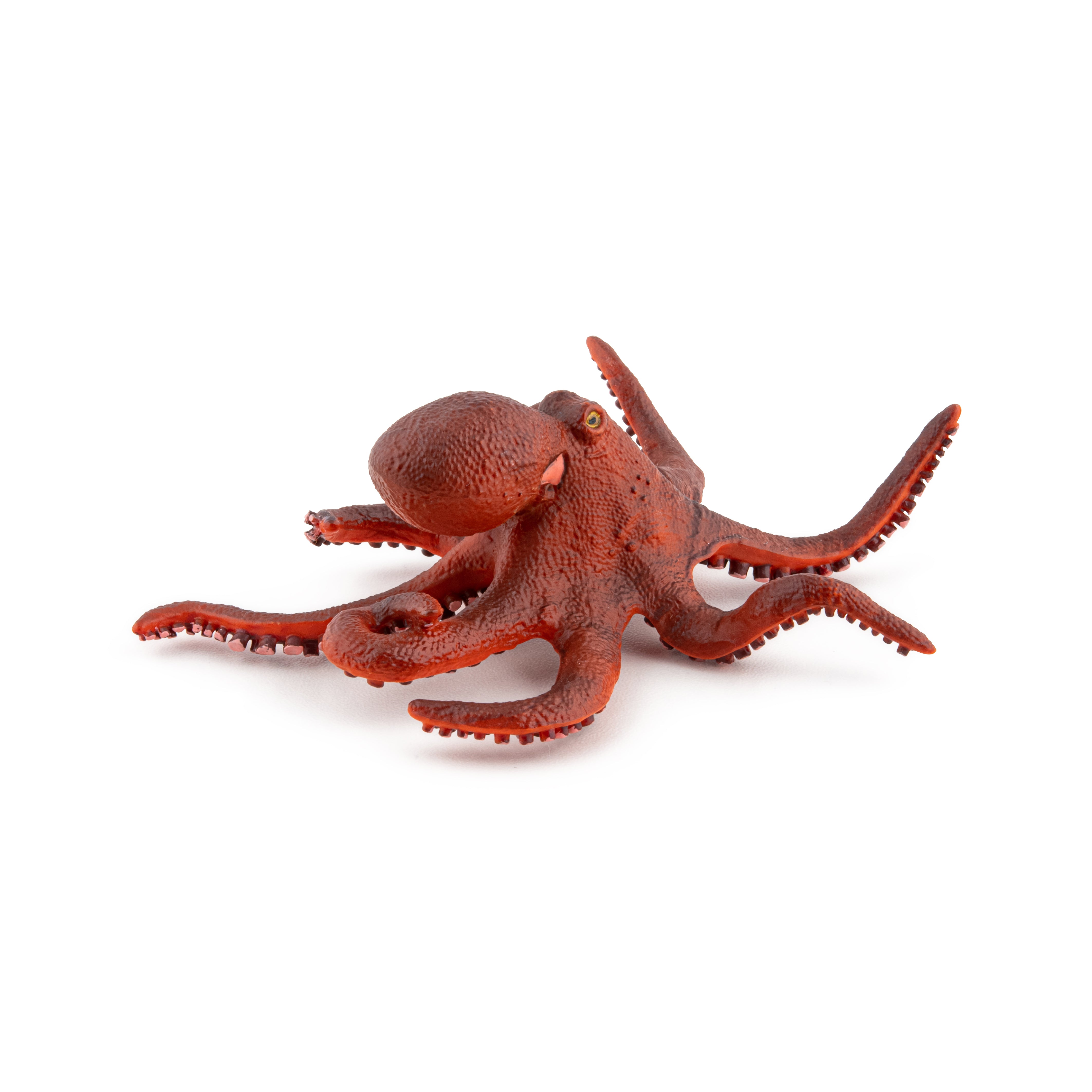 papo-marine-world-kleiner-oktopus-figur-meerestier image 3