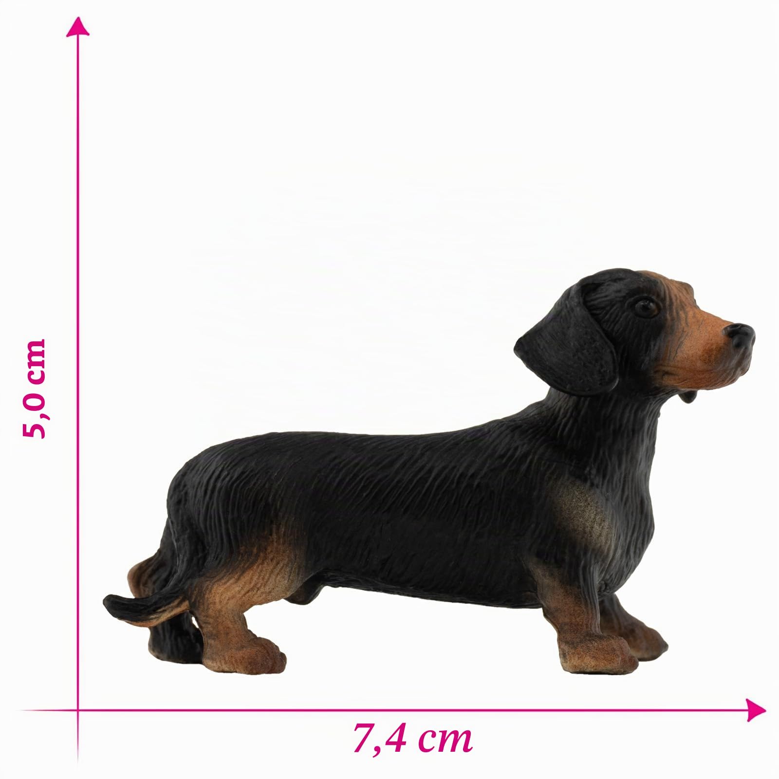 bullyland-pets-kurzhaar-dackel-apollo-65441-hundefigur-7-4-cm image 2