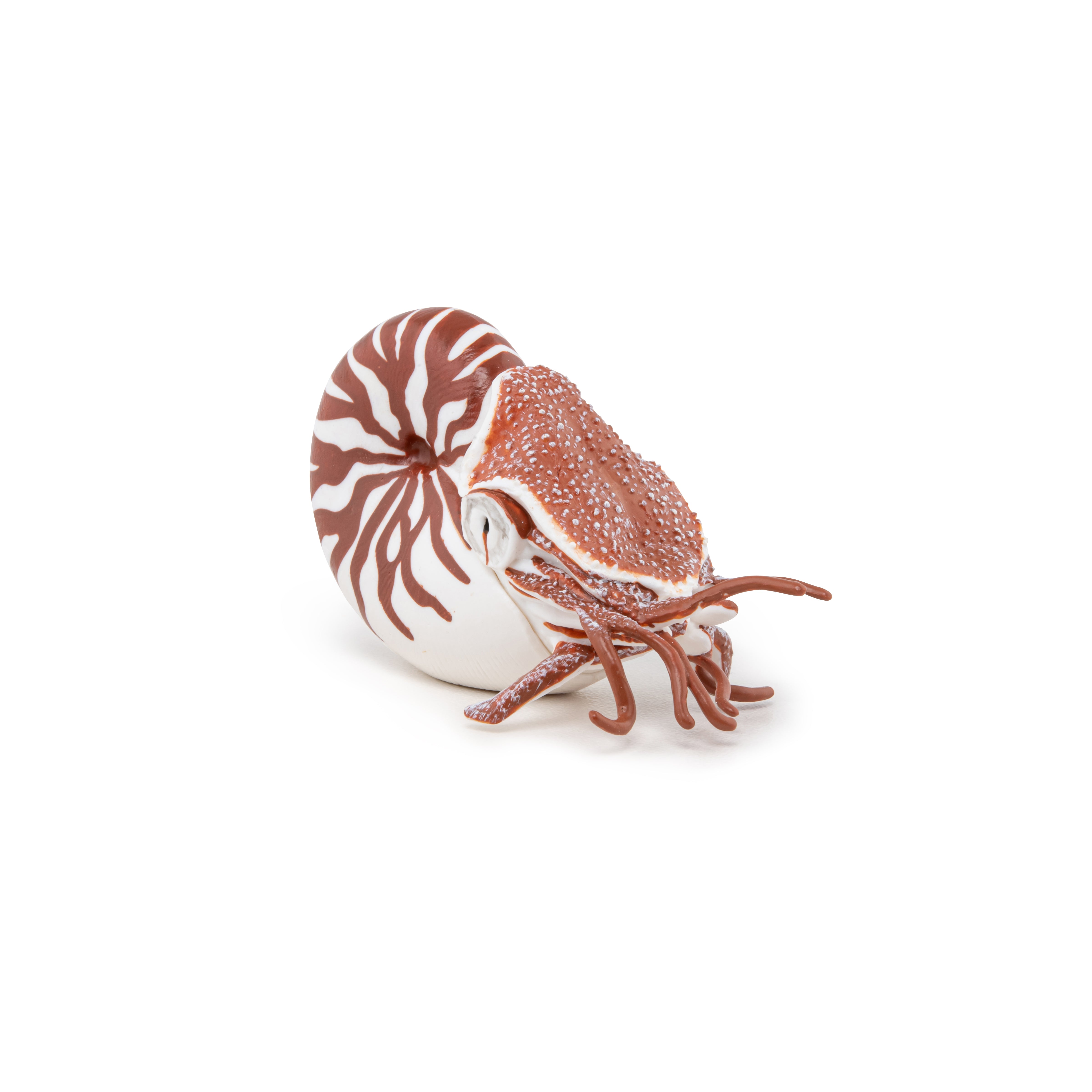 papo-marine-world-nautilus-meerestier-figur-spiralgeh-use image 5