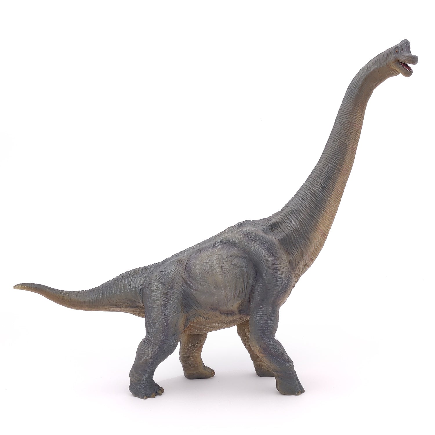 papo-dinosaurs-brachiosaurus-figur-pflanzenfresser image 1