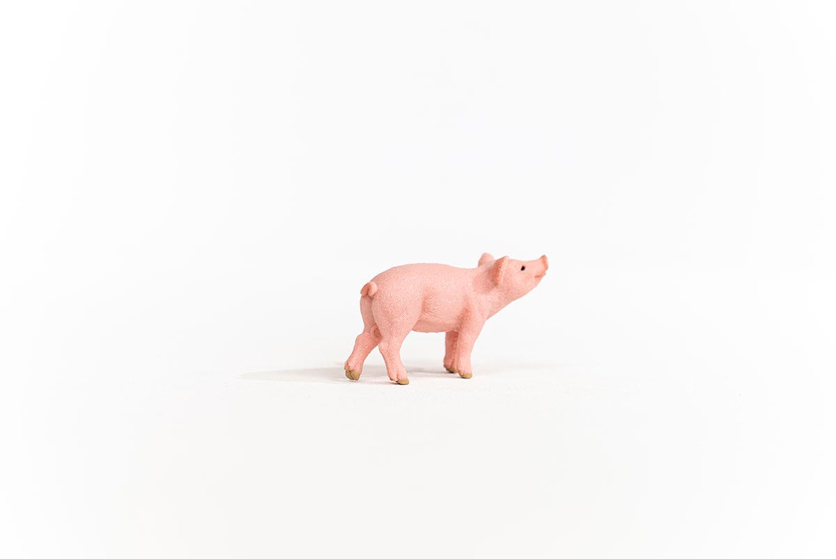 schleich-farm-world-13934-ferkel-tierfigur-rosa-schwein image 4
