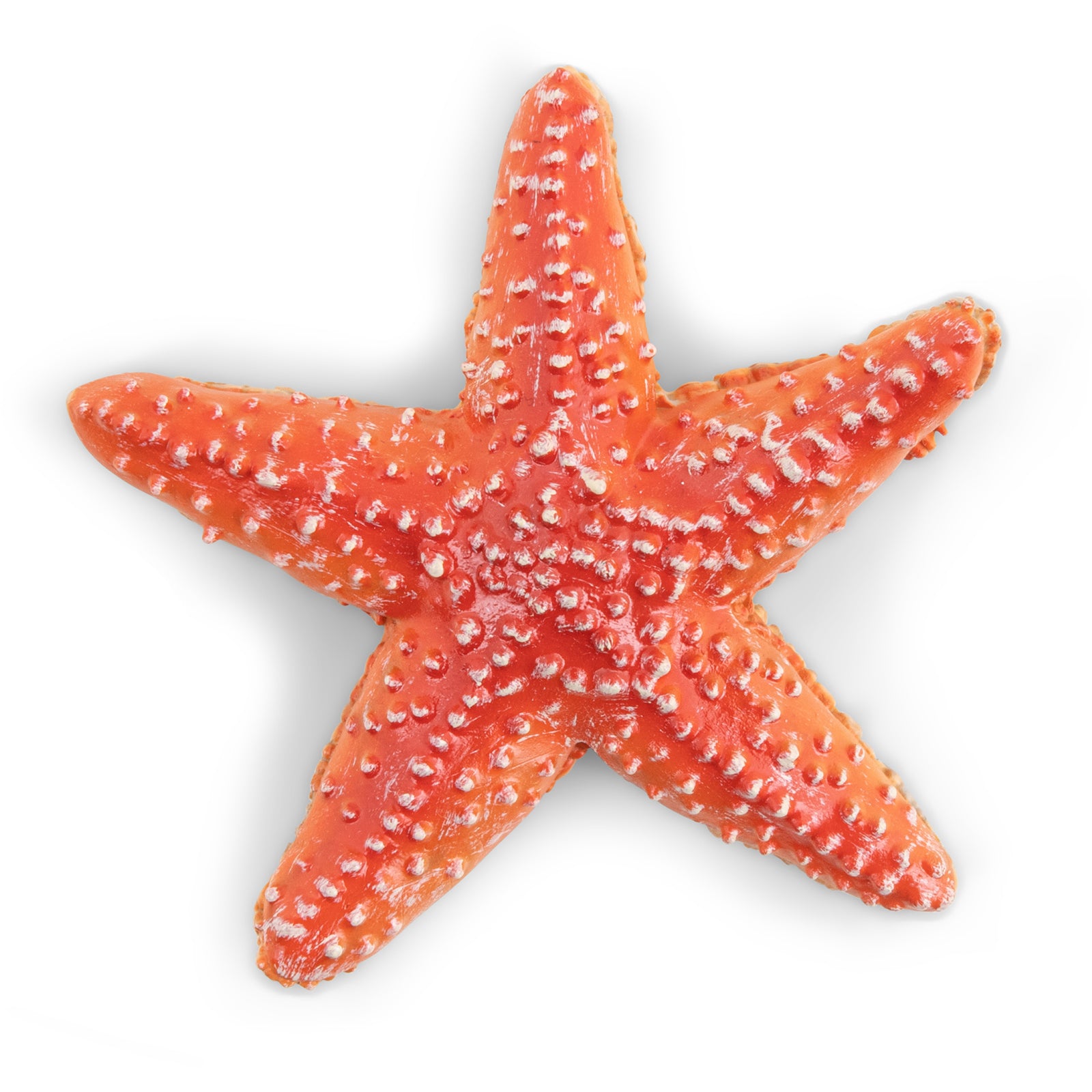 papo-marine-world-seestern-figur-meerestier-mit-5-armen image 4