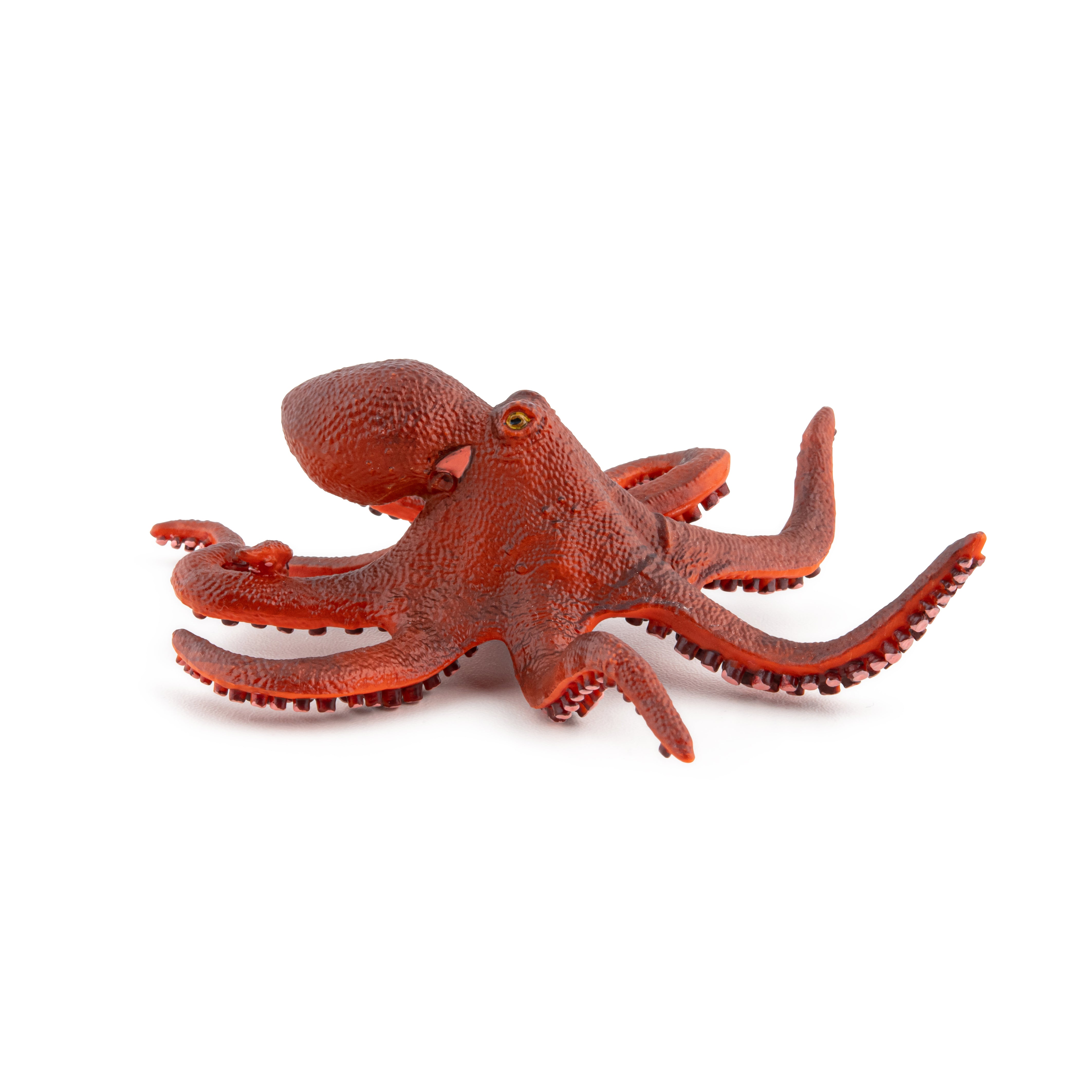 papo-marine-world-kleiner-oktopus-figur-meerestier image 2