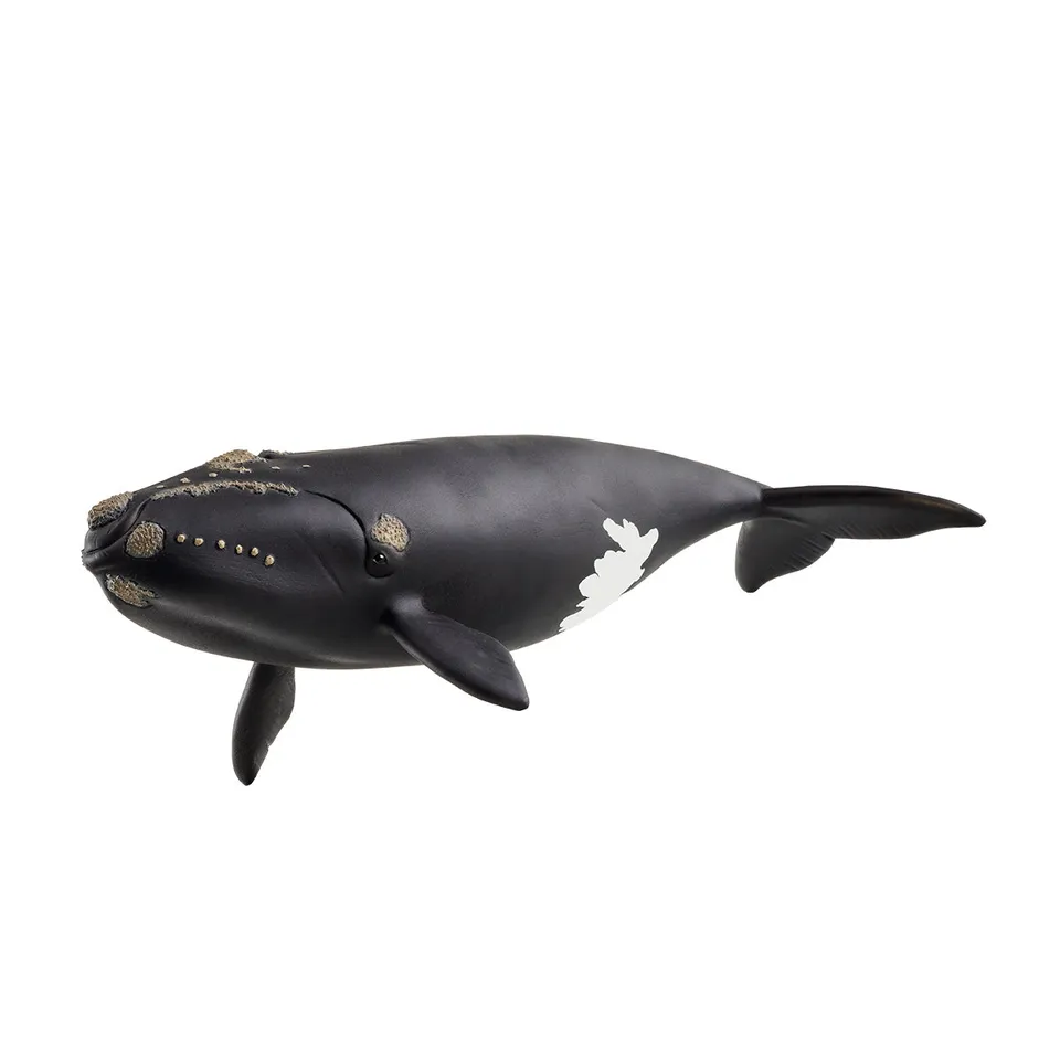 schleich-wild-life-atlantischer-wal-tierfigur-set image 1