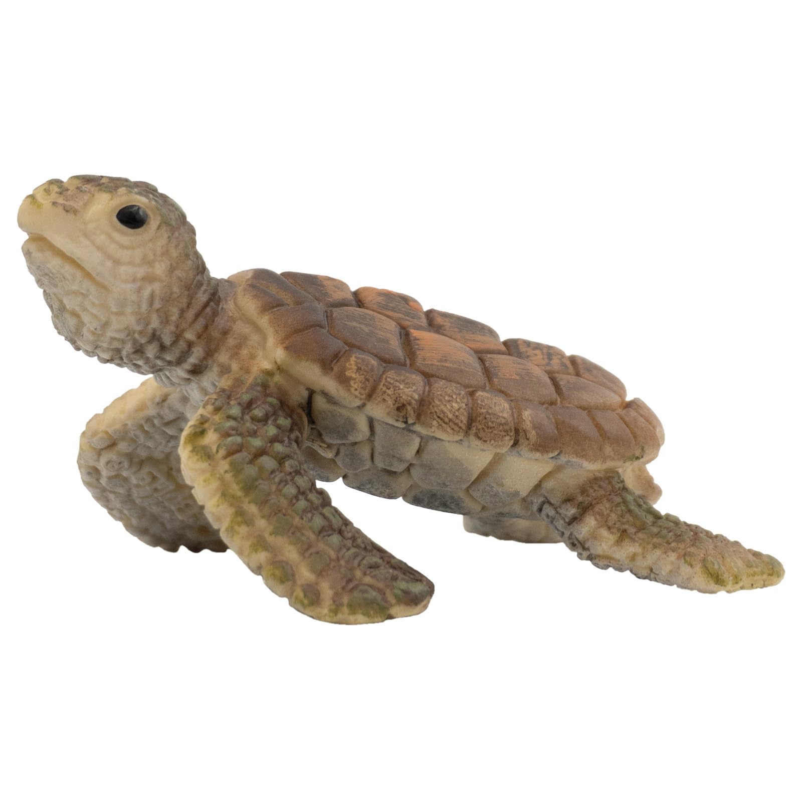 bullyland-marine-world-meeresschildkr-ten-junges-tierfigur-6-cm image 1