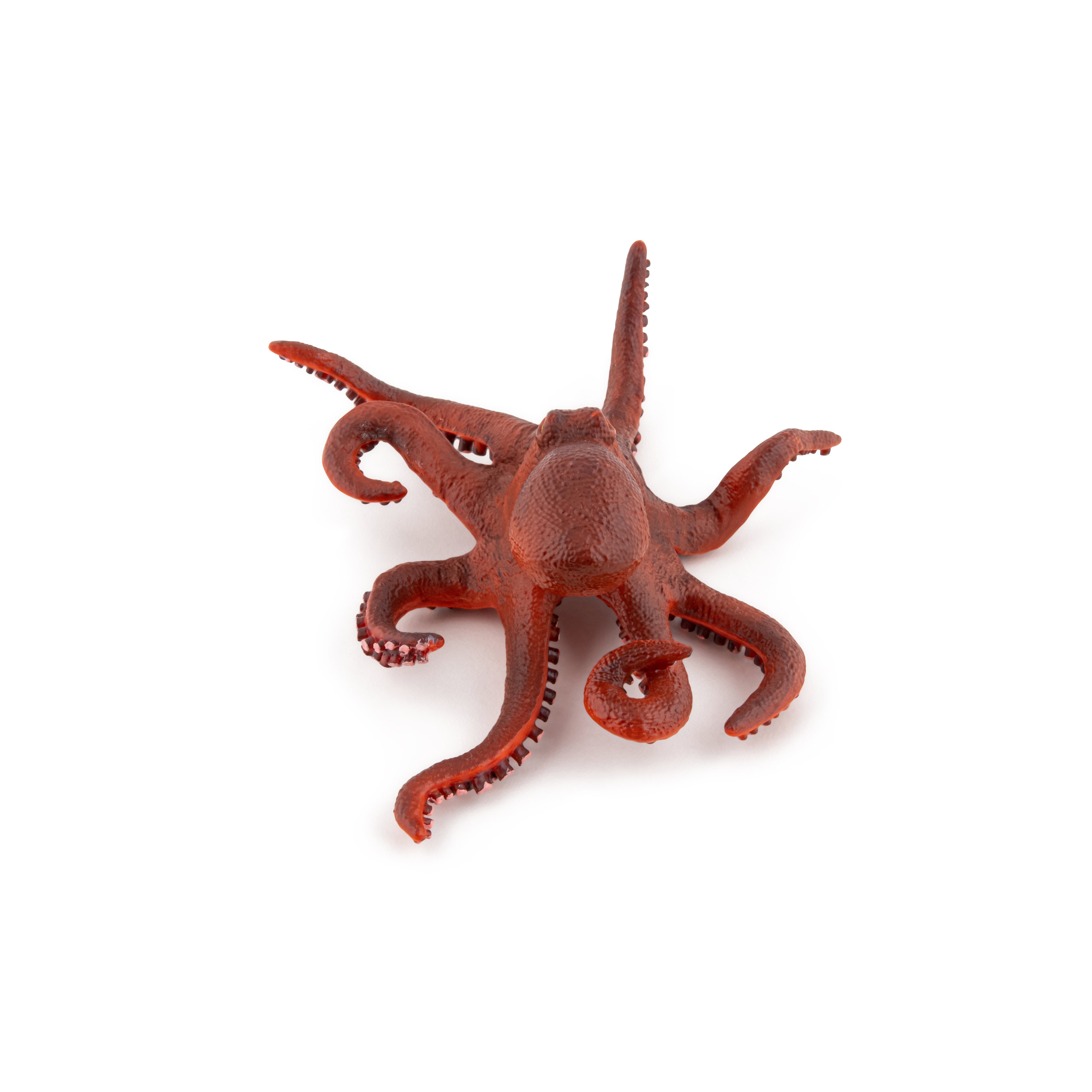 papo-marine-world-kleiner-oktopus-figur-meerestier image 4