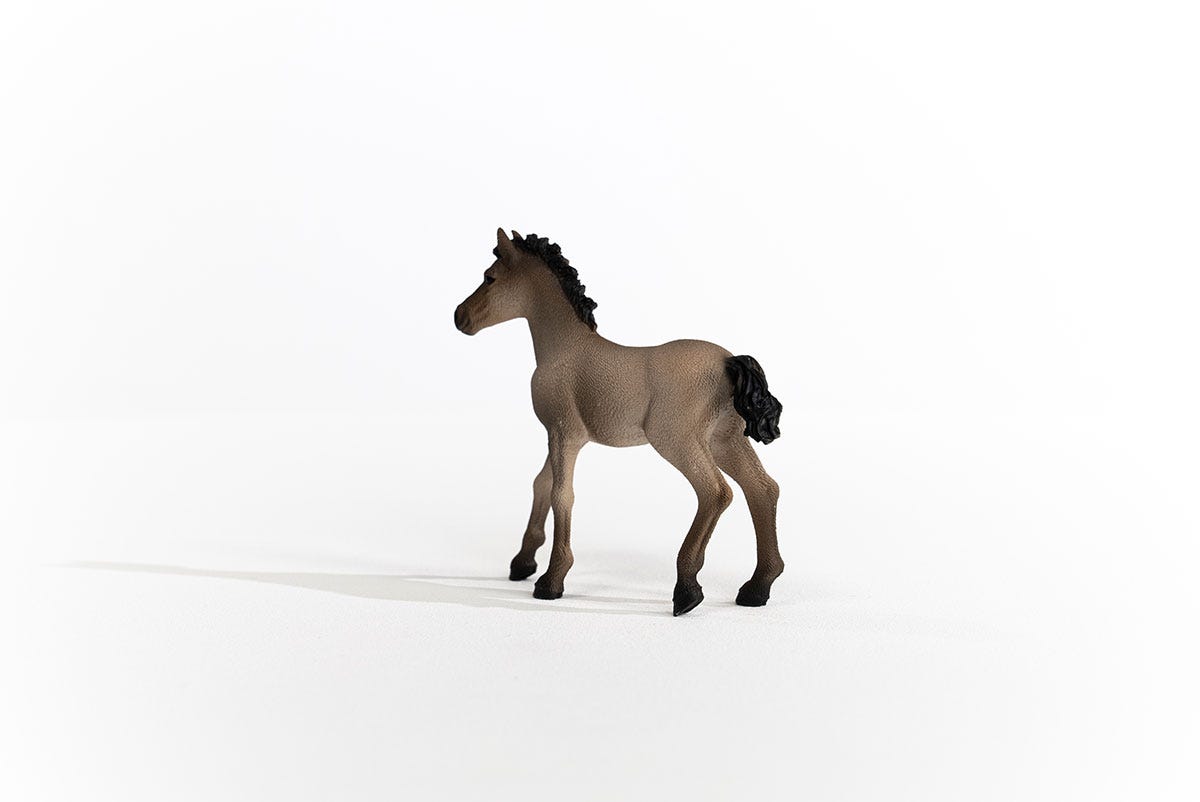 schleich-horse-club-criollo-definitivo-fohlen-pferdefigur-13949 image 3