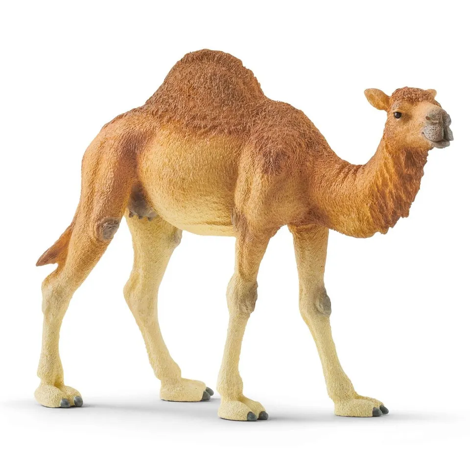 schleich-wild-life-dromedar-kamel-tierfigur-w-ste image 1