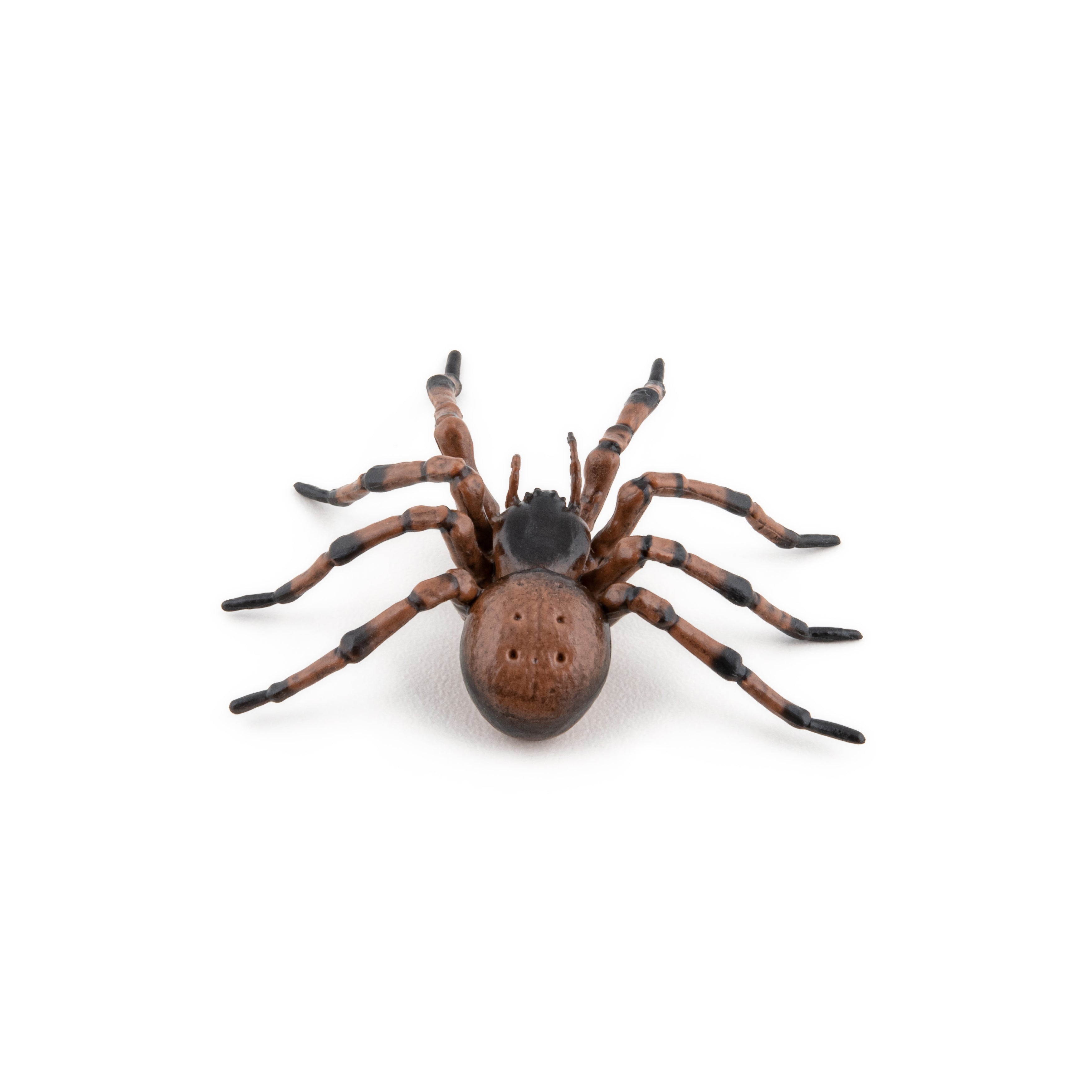 papo-garden-animals-gew-hnliche-spinnenfigur-hausspinne image 2