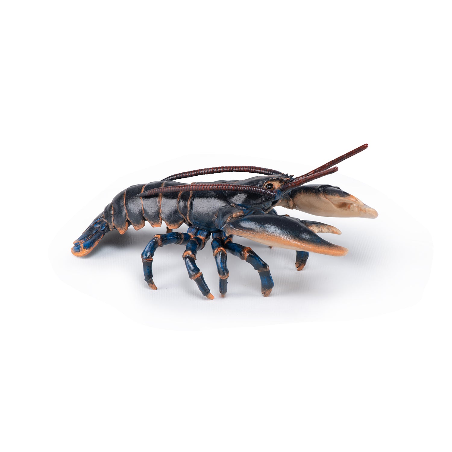 papo-marine-world-hummer-meerestierfigur image 3