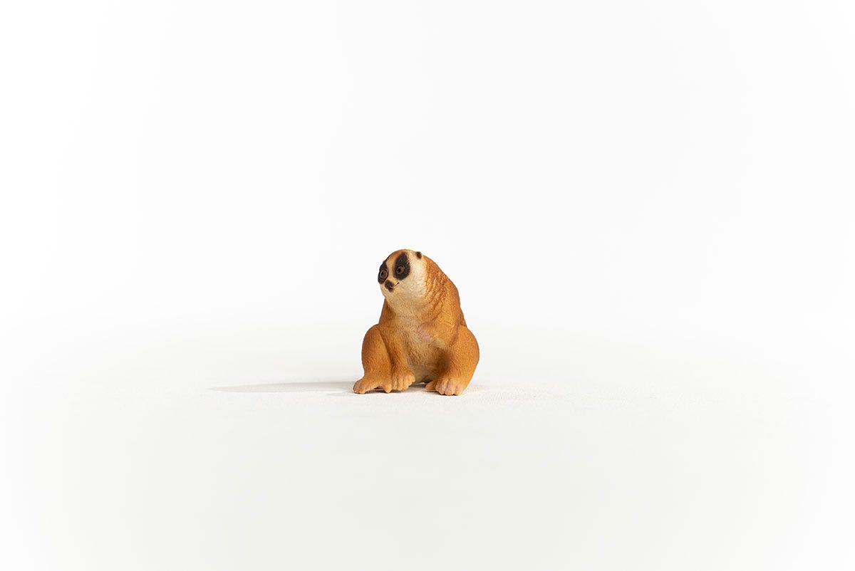 schleich-wild-life-plumplori-14852-tierfigur-nachttier image 3