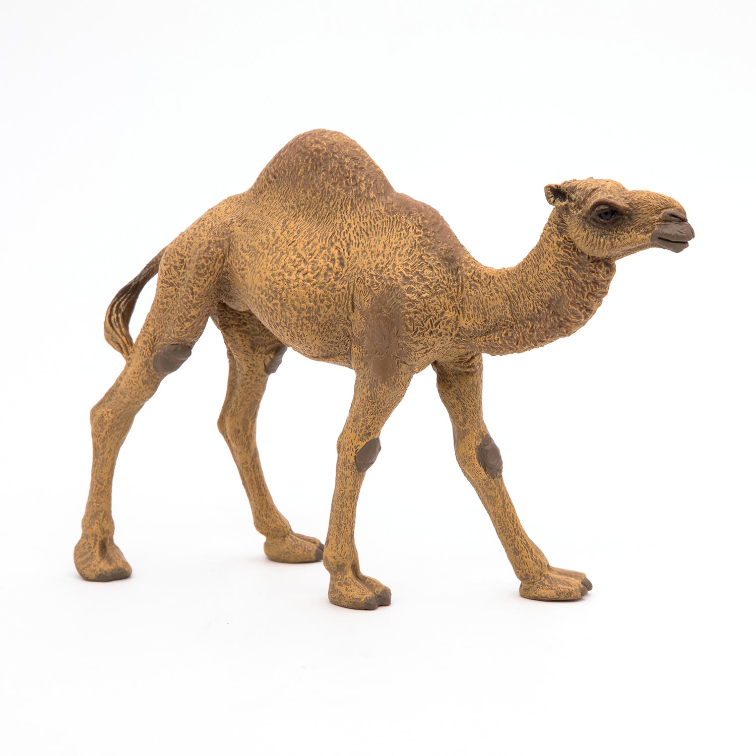 papo-wildlife-dromedar-tierfigur-w-stentier image 4