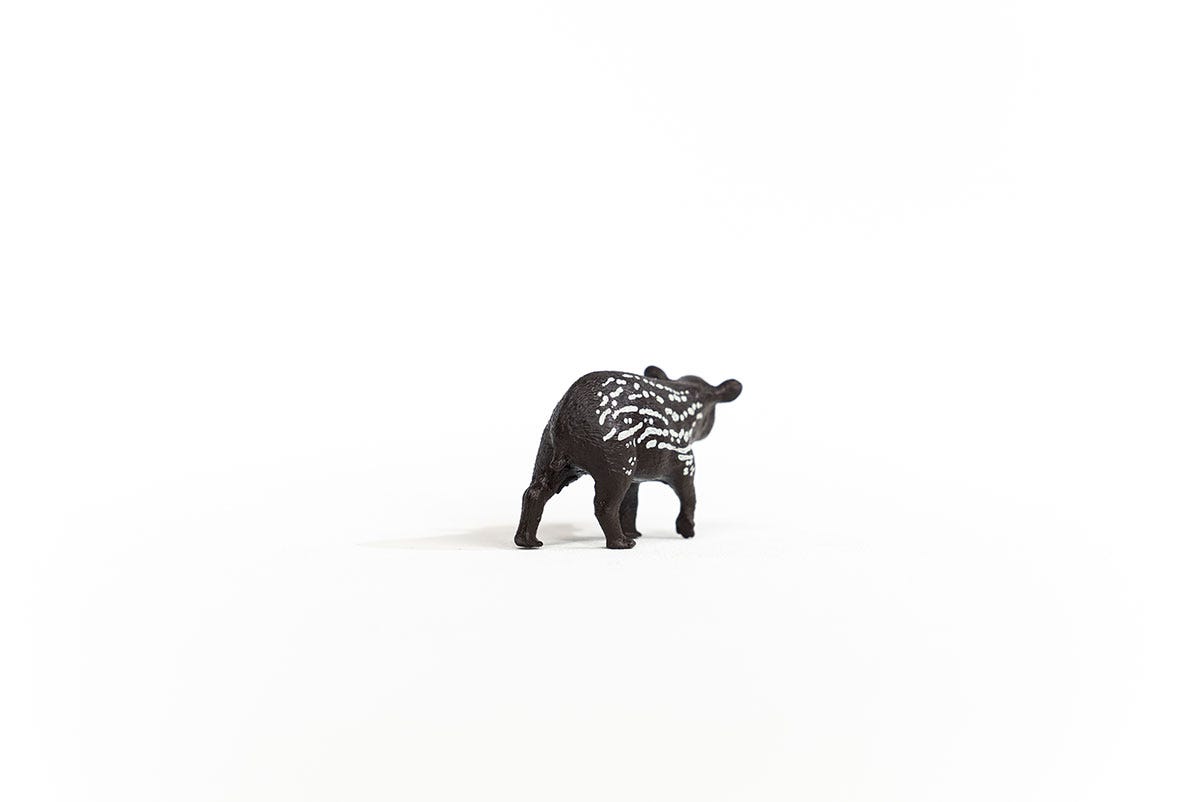schleich-wild-life-14851-tapir-junges-tierfigur image 4